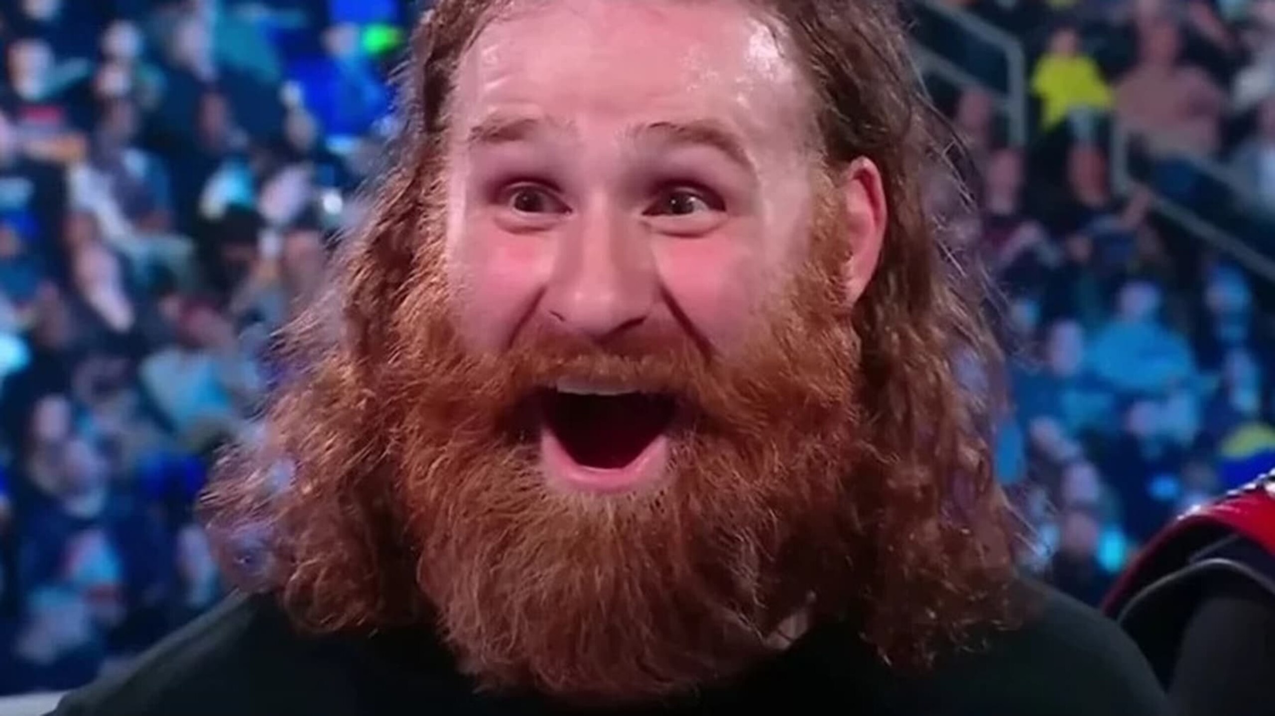 The Bloodline is feeling very Ucey about Sami Zayn right now, but a face turn and split from the group is certainly in his future.