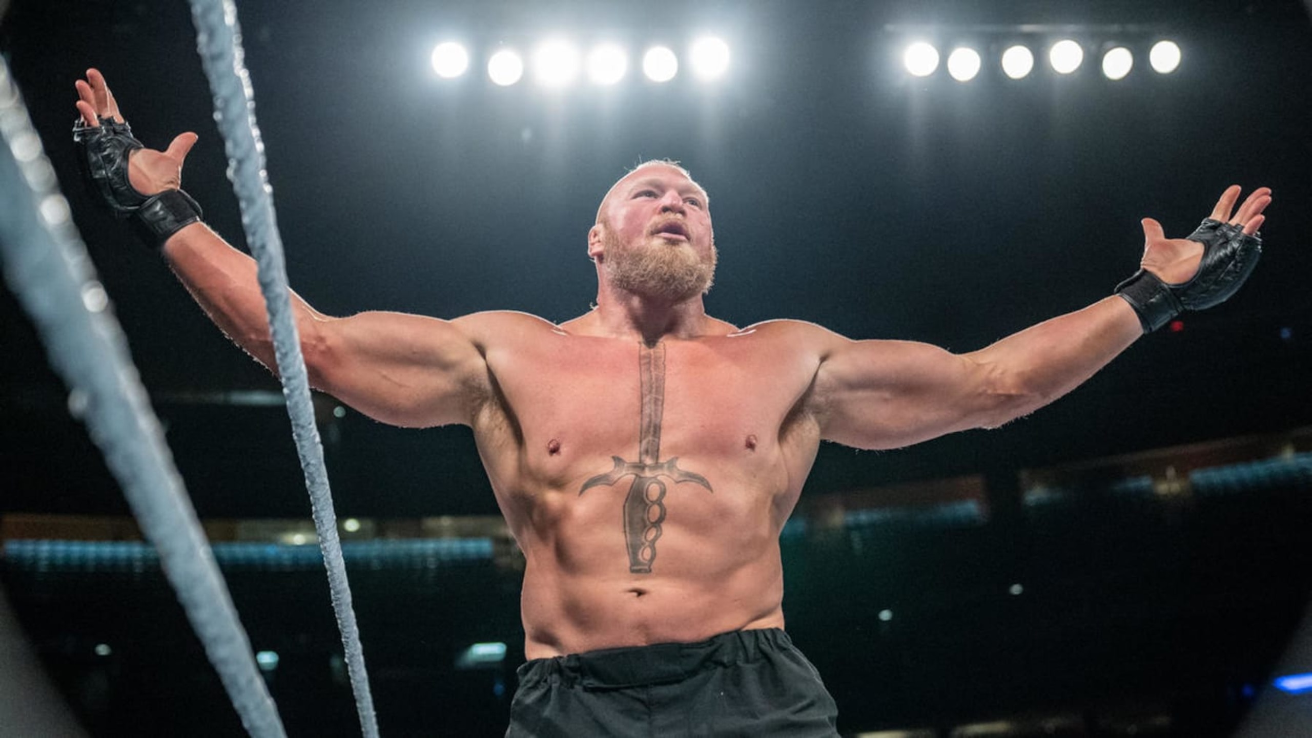 Brock Lesnar.