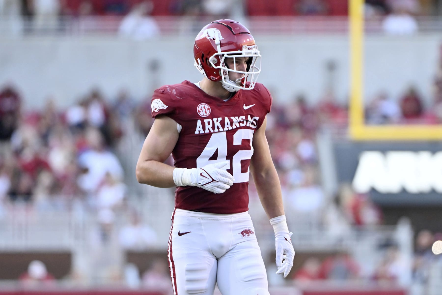 Arkansas linebacker Drew Sanders (42) against Missouri State during an NCAA college football game Saturday, Sept. 17, 2022, in Fayetteville, Ark. (AP Photo/Michael Woods)