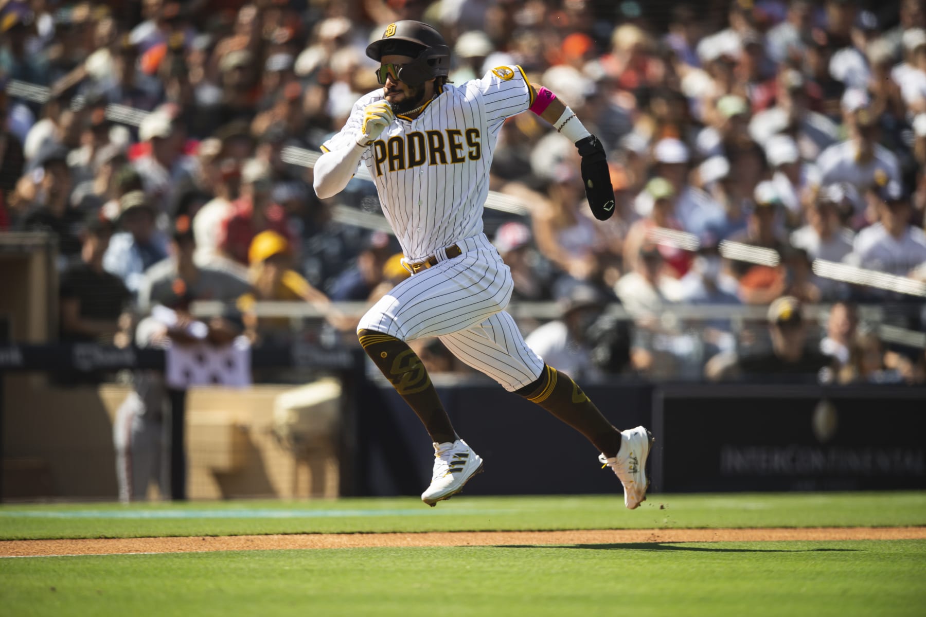 SAN DIEGO, CA - SEPTEMBER 23: Fernando Tatis Jr #23 of the San Diego Padres sprints home after tagging up in the first inning against the San Francisco Giants on September 23, 2021 at Petco Park in San Diego, California. (Photo by Matt Thomas/San Diego Padres/Getty Images)
