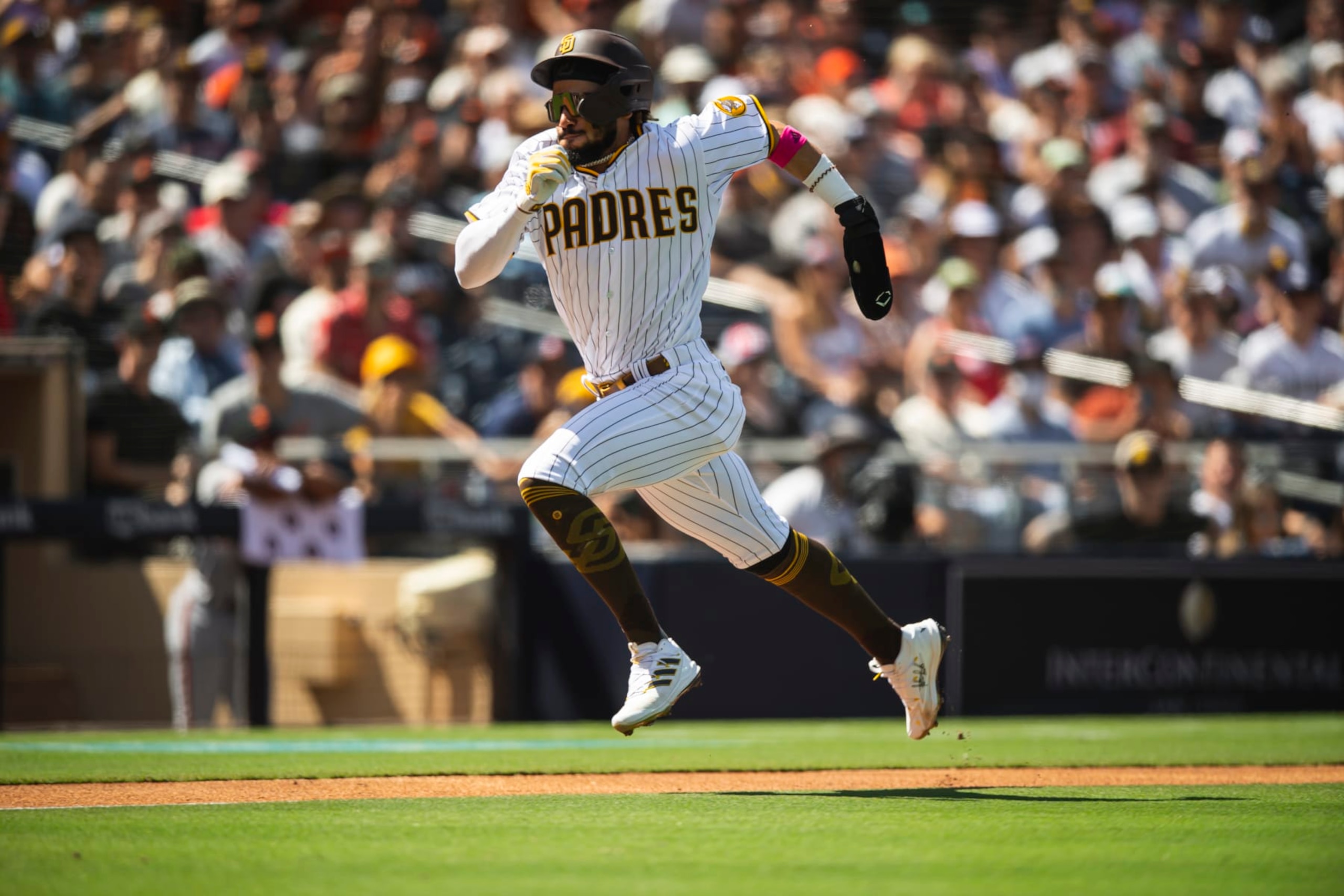 SAN DIEGO, CA - SEPTEMBER 23: Fernando Tatis Jr #23 of the San Diego Padres sprints home after tagging up in the first inning against the San Francisco Giants on September 23, 2021 at Petco Park in San Diego, California. (Photo by Matt Thomas/San Diego Padres/Getty Images)