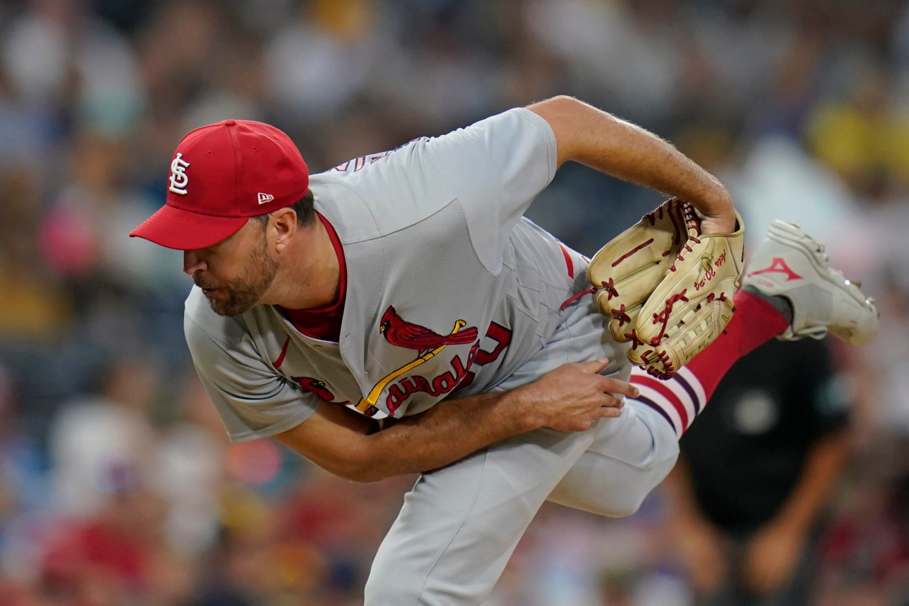 Adam Wainwright Adam Wainwright