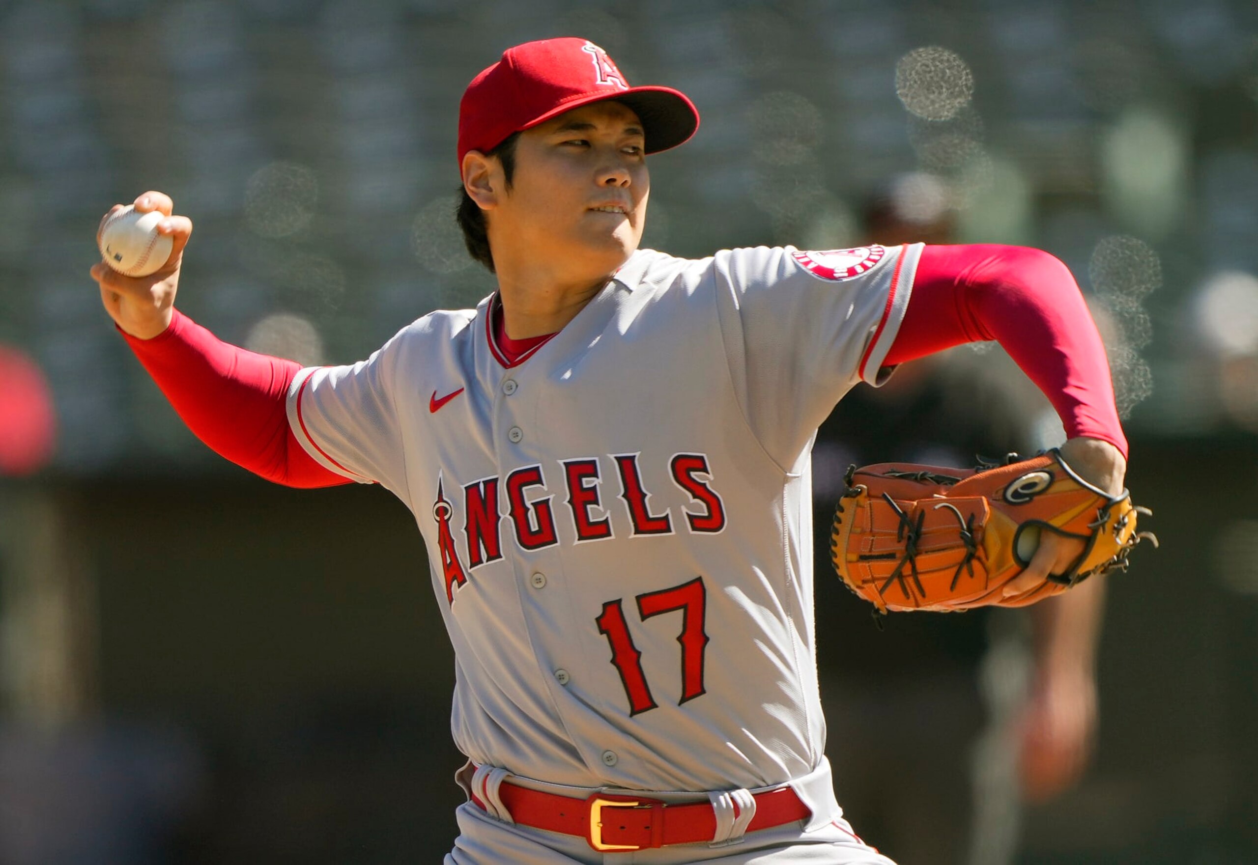 Shohei Ohtani Shohei Ohtani