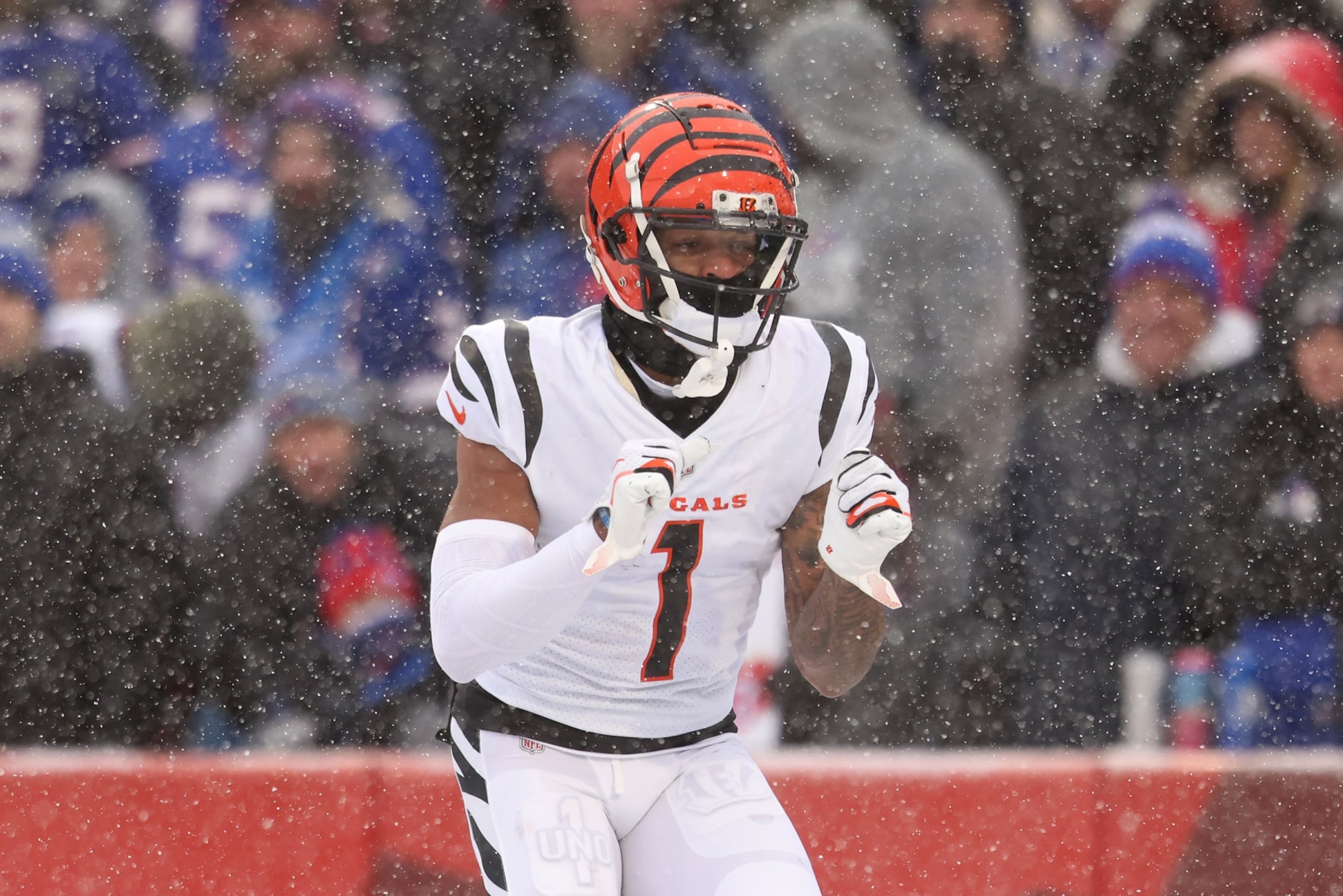 ORCHARD PARK, NEW YORK - JANUARY 22: Ja'Marr Chase #1 of the Cincinnati Bengals celebrates after scoring a touchdown against the Buffalo Bills during the first quarter in the AFC Divisional Playoff game at Highmark Stadium on January 22, 2023 in Orchard Park, New York. (Photo by Bryan M. Bennett/Getty Images)