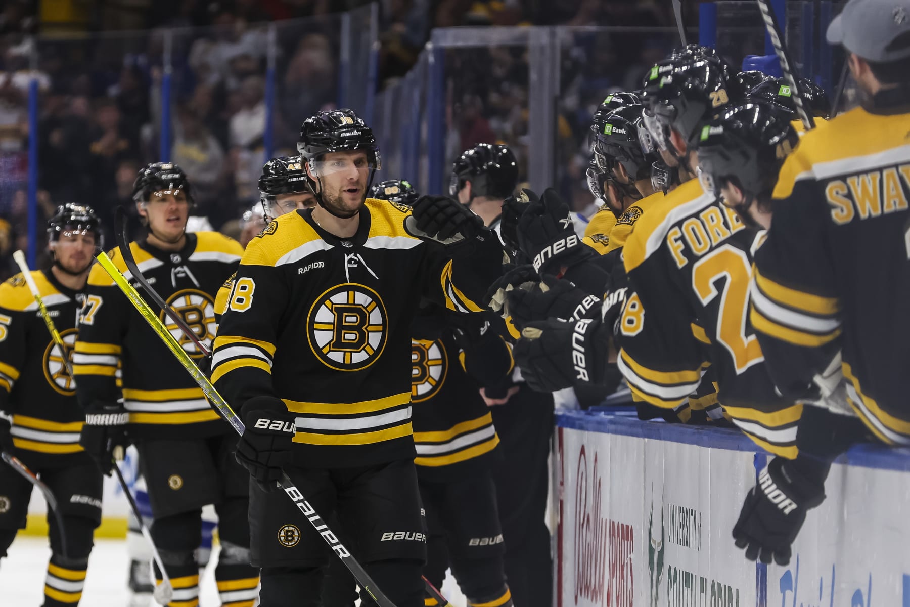 TAMPA, FL - JANUARY 26: Pavel Zacha #18 of the Boston Bruins celebrates a goal with teammates against the Tampa Bay Lightning during the third period at Amalie Arena on January 26, 2023 in Tampa, Florida. (Photo by Mark LoMoglio/NHLI via Getty Images)