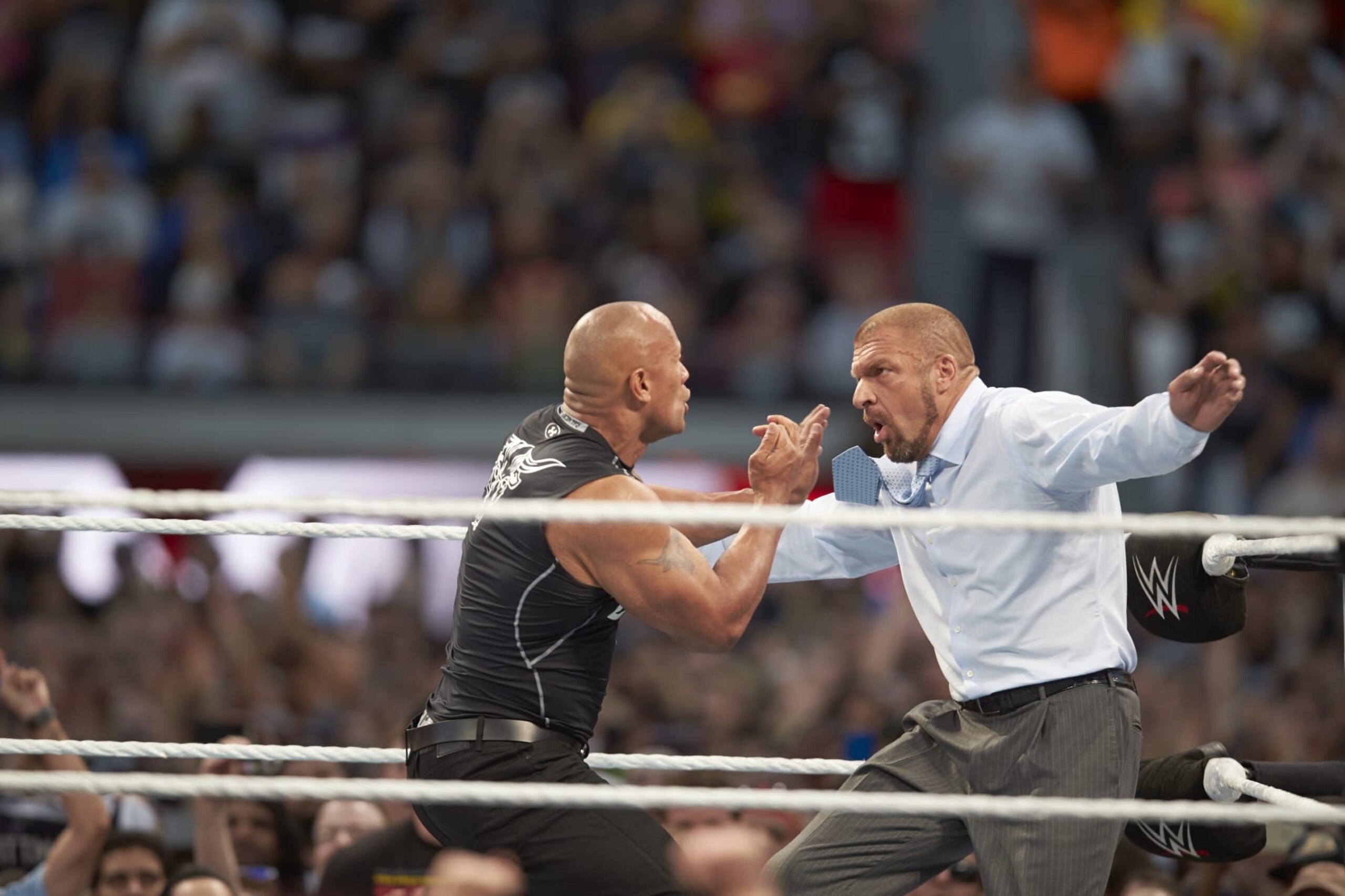 WWE Wrestling: WrestleMania 31: The Rock (L) in action vs Triple H during event at Levi's Stadium.
Santa Clara, CA 3/29/2015
CREDIT: Jed Jacobsohn (Photo by Jed Jacobsohn /Sports Illustrated via Getty Images)
(Set Number: X159445 TK1 )