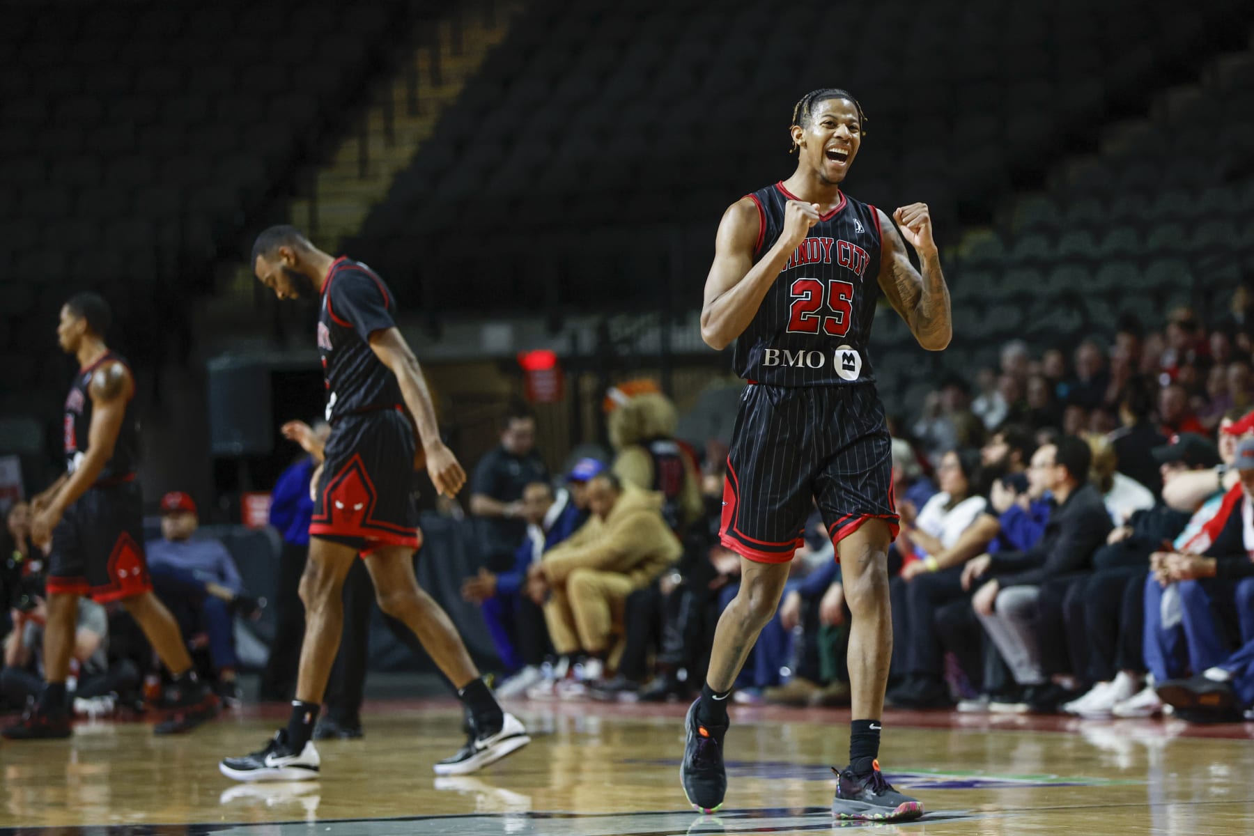 Dalen Terry, Chicago Bulls