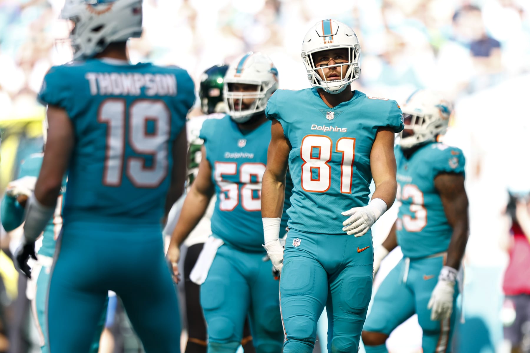 MIAMI GARDENS, FL - JANUARY 8: Durham Smythe #81 of the Miami Dolphins walks to the huddle before a play during an NFL football game against the New York Jets at Hard Rock Stadium on January 8, 2023 in Miami Gardens, Florida. (Photo by Kevin Sabitus/Getty Images)