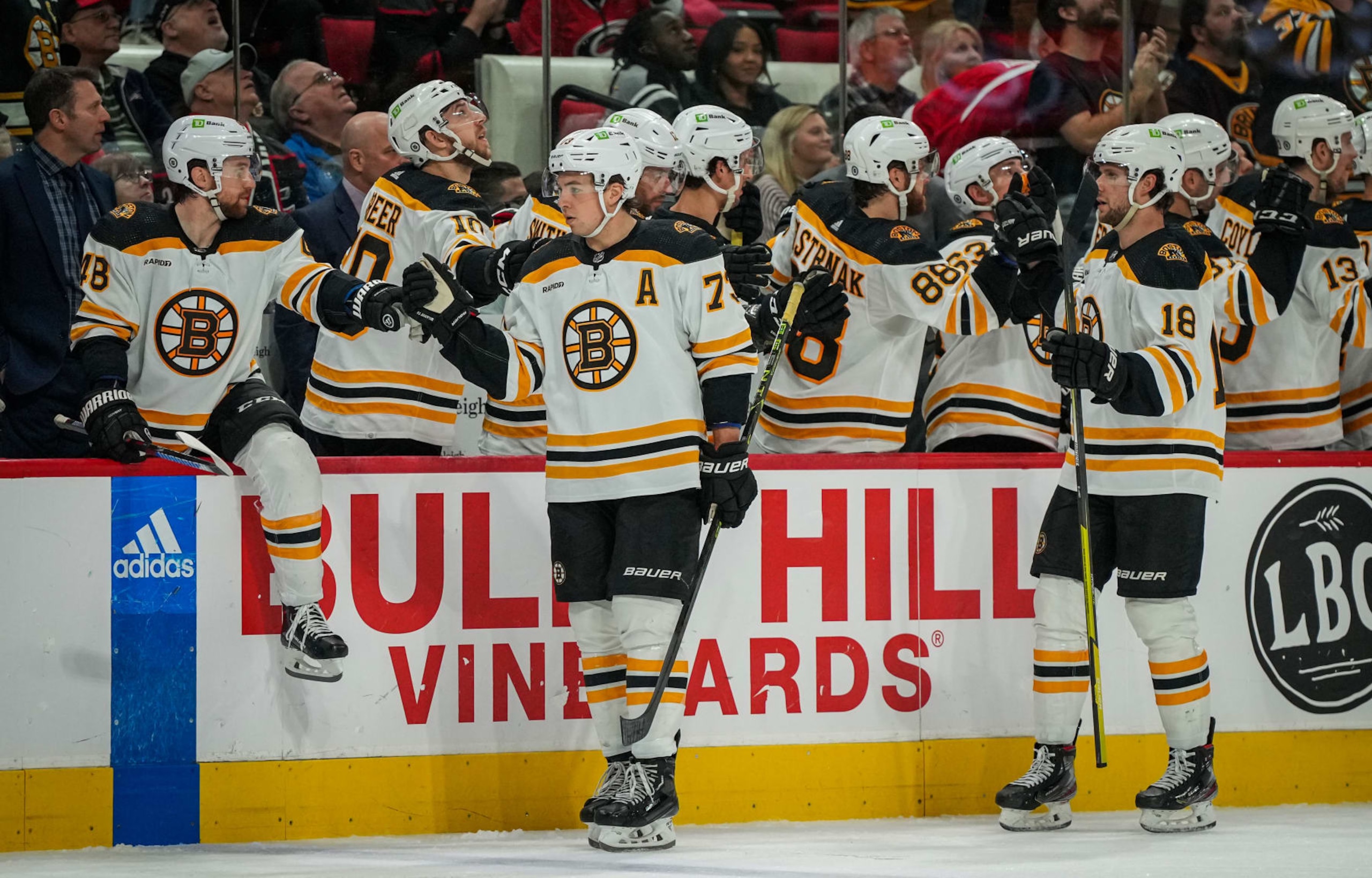 Boston Bruins