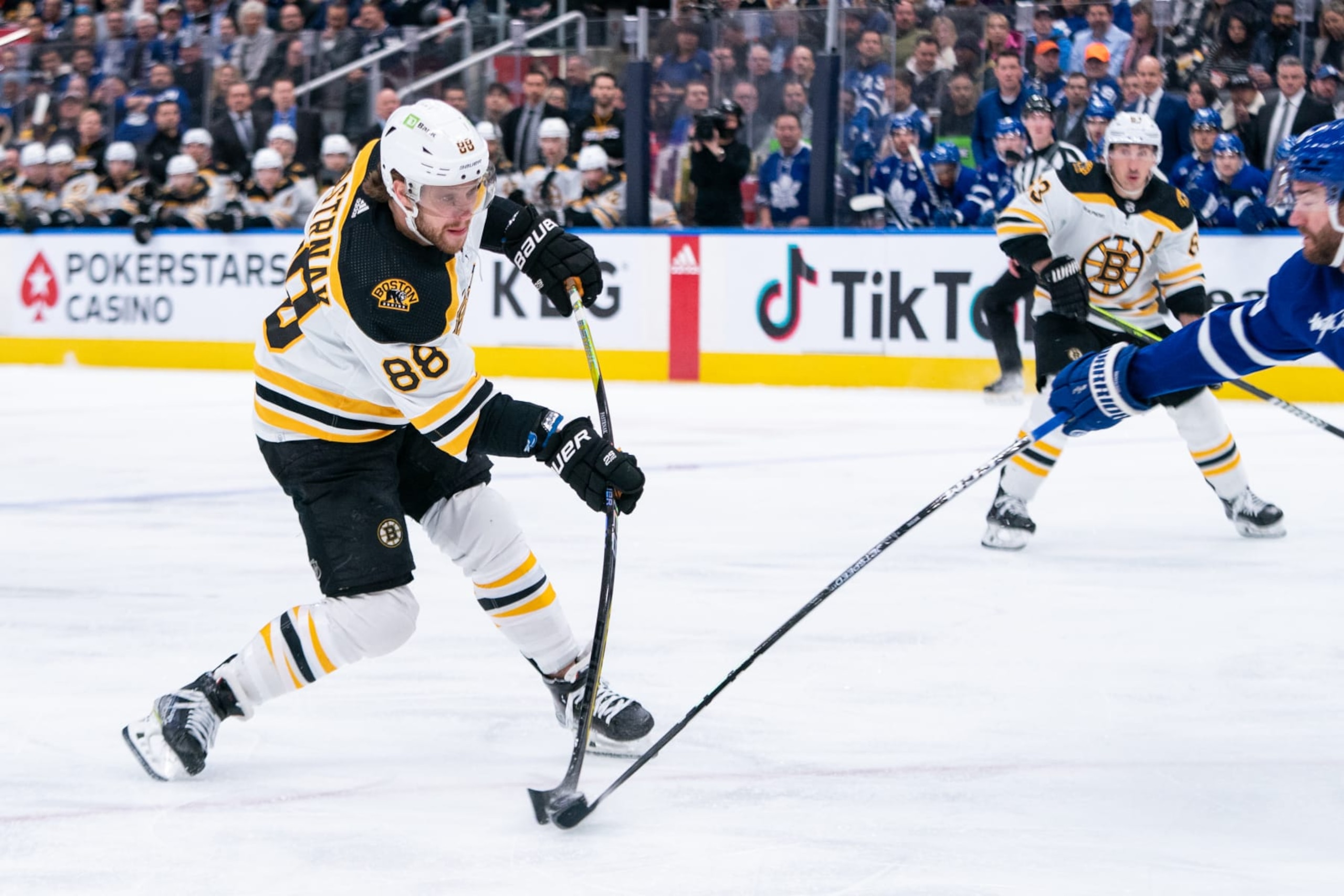 TORONTO, CANADA - FEBRUARY 01: David Pastrnak #88 of the Boston Bruins shoots the puck against the Toronto Maple Leafs at the Scotiabank Arena on February 01, 2023 in Toronto, Ontario, Canada. (Photo by Michael Chisholm/NHLI via Getty Images)