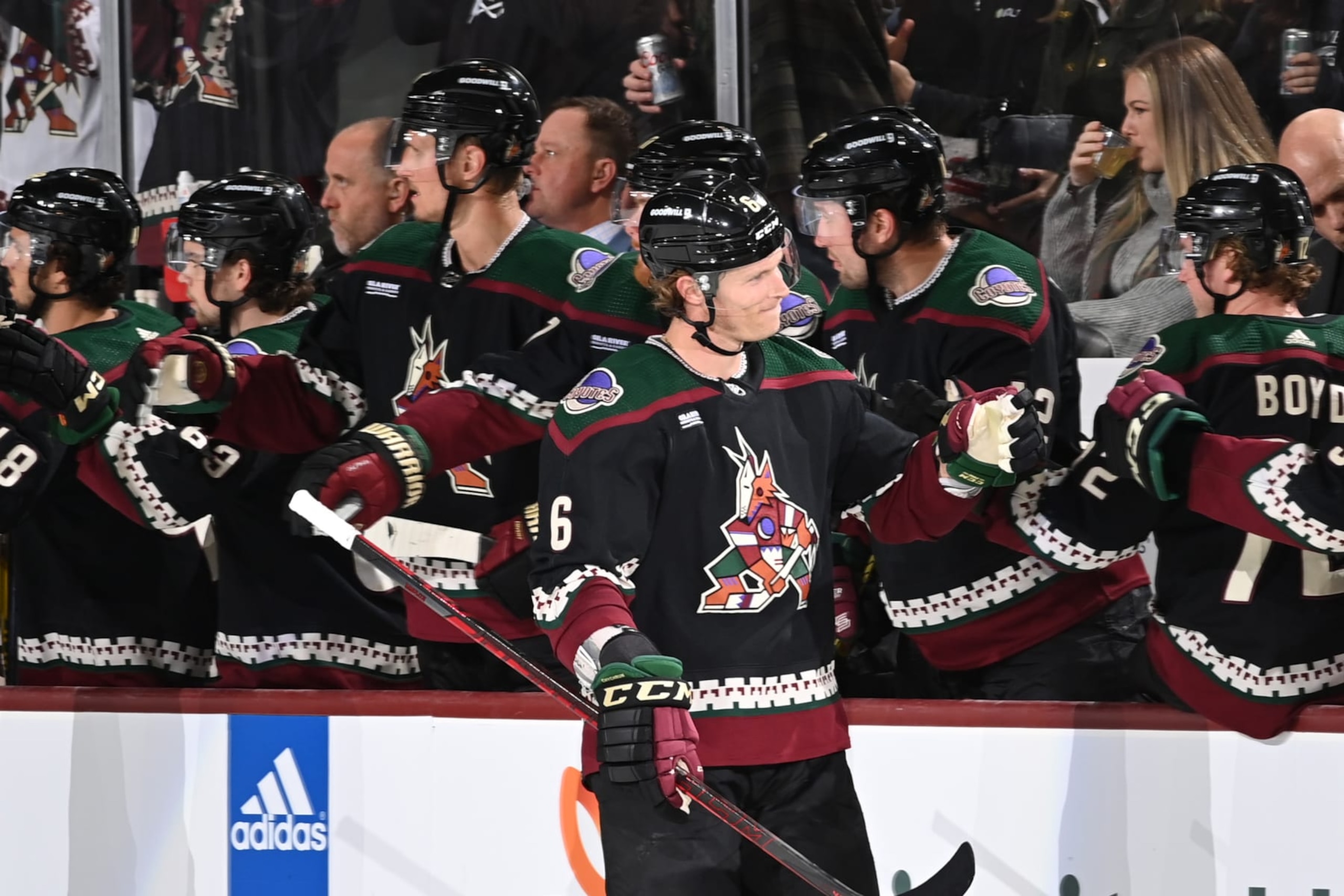 TEMPE, ARIZONA - FEBRUARY 06: Jakob Chychrun #6 of the Arizona Coyotes celebrates with teammates on the bench after scoring a goal against the Minnesota Wild during the second period at Mullett Arena on February 06, 2023 in Tempe, Arizona. (Photo by Norm Hall/NHLI via Getty Images)