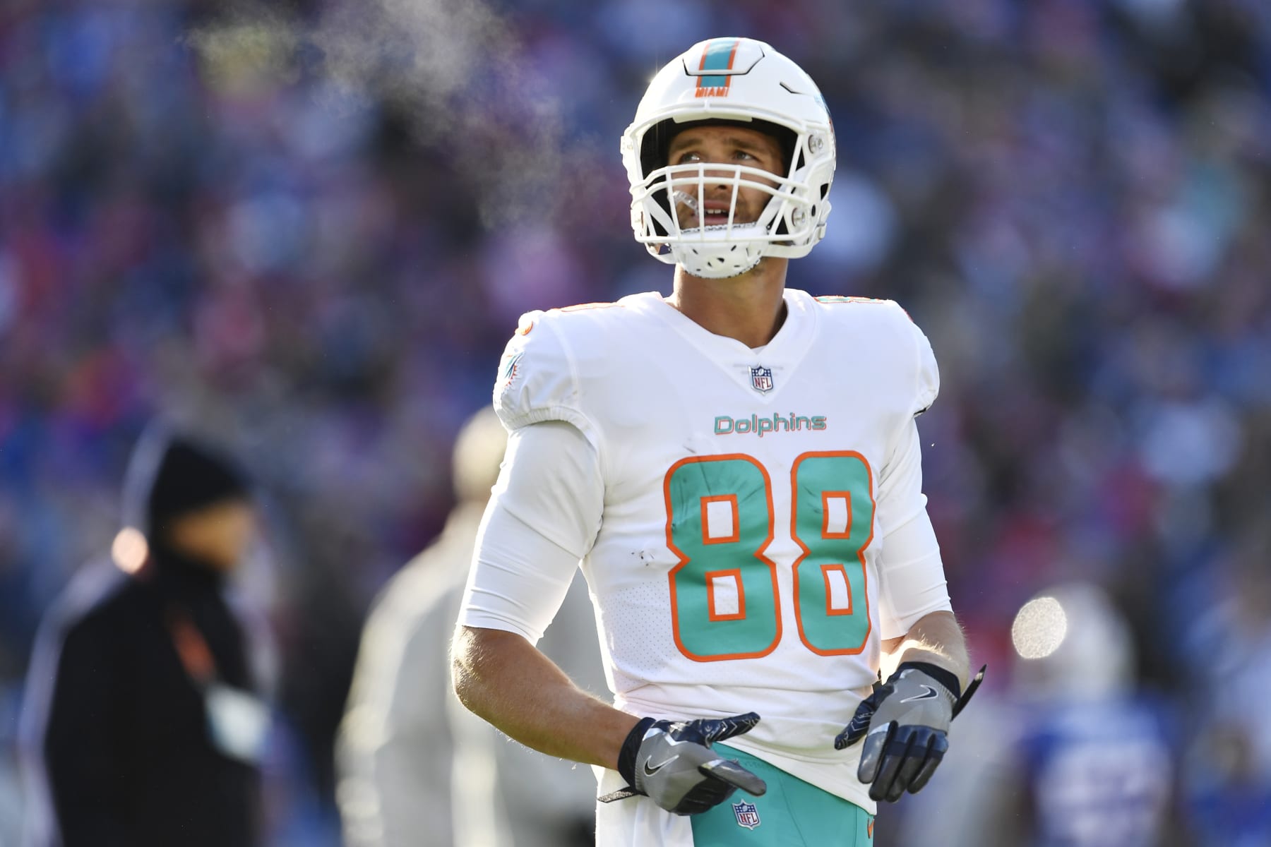 Miami Dolphins tight end Mike Gesicki (88) looks up during the first half of an NFL wild-card playoff football game against the Buffalo Bills, Sunday, Jan. 15, 2023, in Orchard Park, N.Y. (AP Photo/Adrian Kraus)