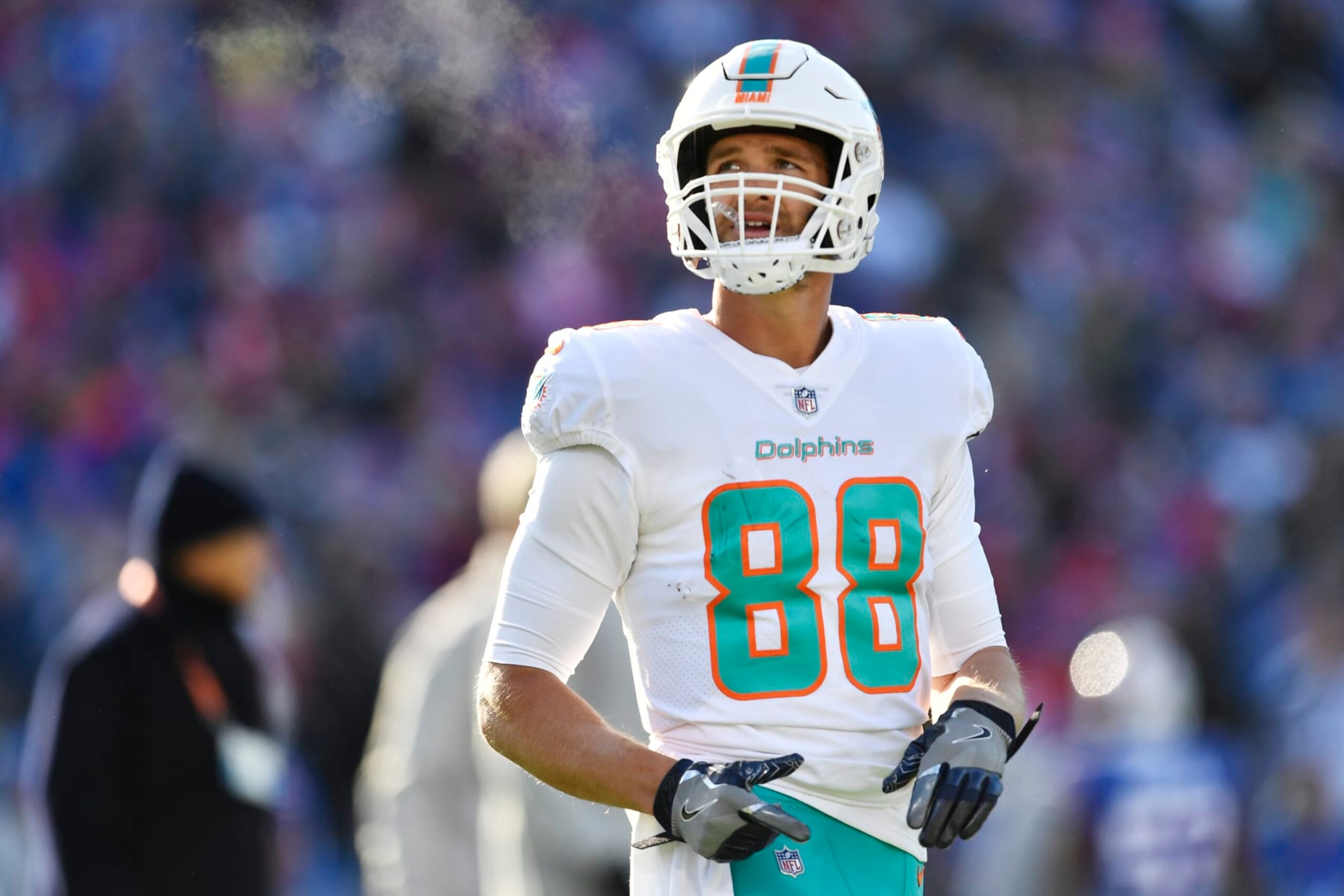Miami Dolphins tight end Mike Gesicki (88) looks up during the first half of an NFL wild-card playoff football game against the Buffalo Bills, Sunday, Jan. 15, 2023, in Orchard Park, N.Y. (AP Photo/Adrian Kraus) Miami Dolphins tight end Mike Gesicki (88) looks up during the first half of an NFL wild-card playoff football game against the Buffalo Bills, Sunday, Jan. 15, 2023, in Orchard Park, N.Y. (AP Photo/Adrian Kraus)