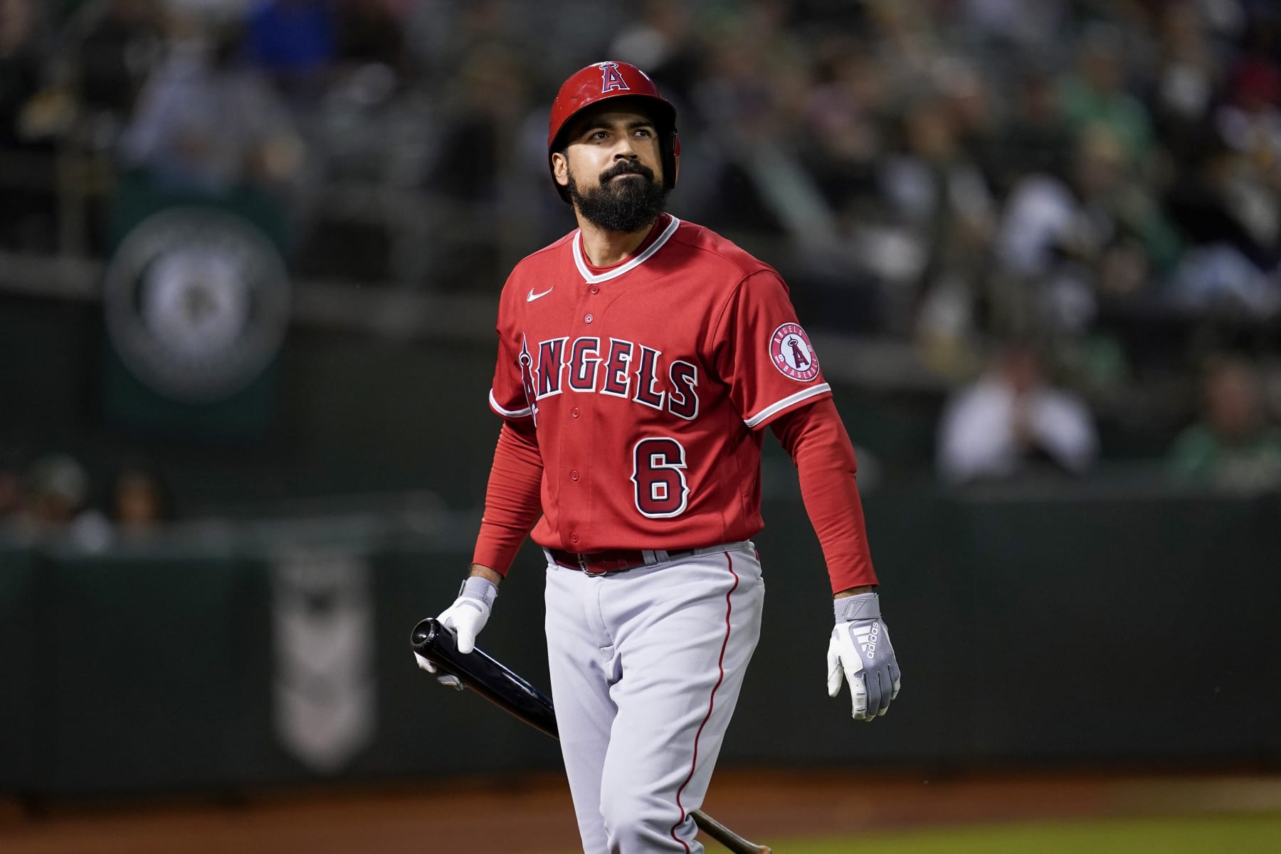 OAKLAND, CA - OCTOBER 03: Anthony Rendon #6 of the Los Angeles Angels walks to the dug out after striking out in the first inning against the Oakland Athletics at RingCentral Coliseum on October 3, 2022 in Oakland, California. (Photo by Brandon Vallance/Getty Images)