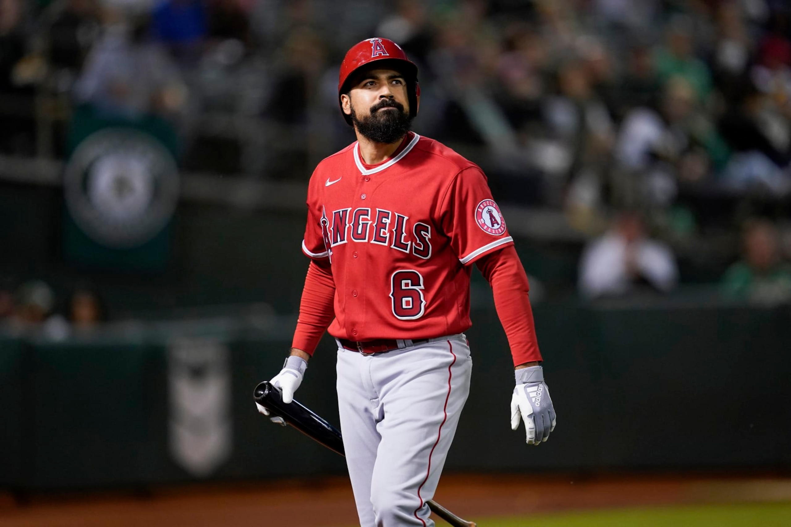 OAKLAND, CA - OCTOBER 03: Anthony Rendon #6 of the Los Angeles Angels walks to the dug out after striking out in the first inning against the Oakland Athletics at RingCentral Coliseum on October 3, 2022 in Oakland, California. (Photo by Brandon Vallance/Getty Images)