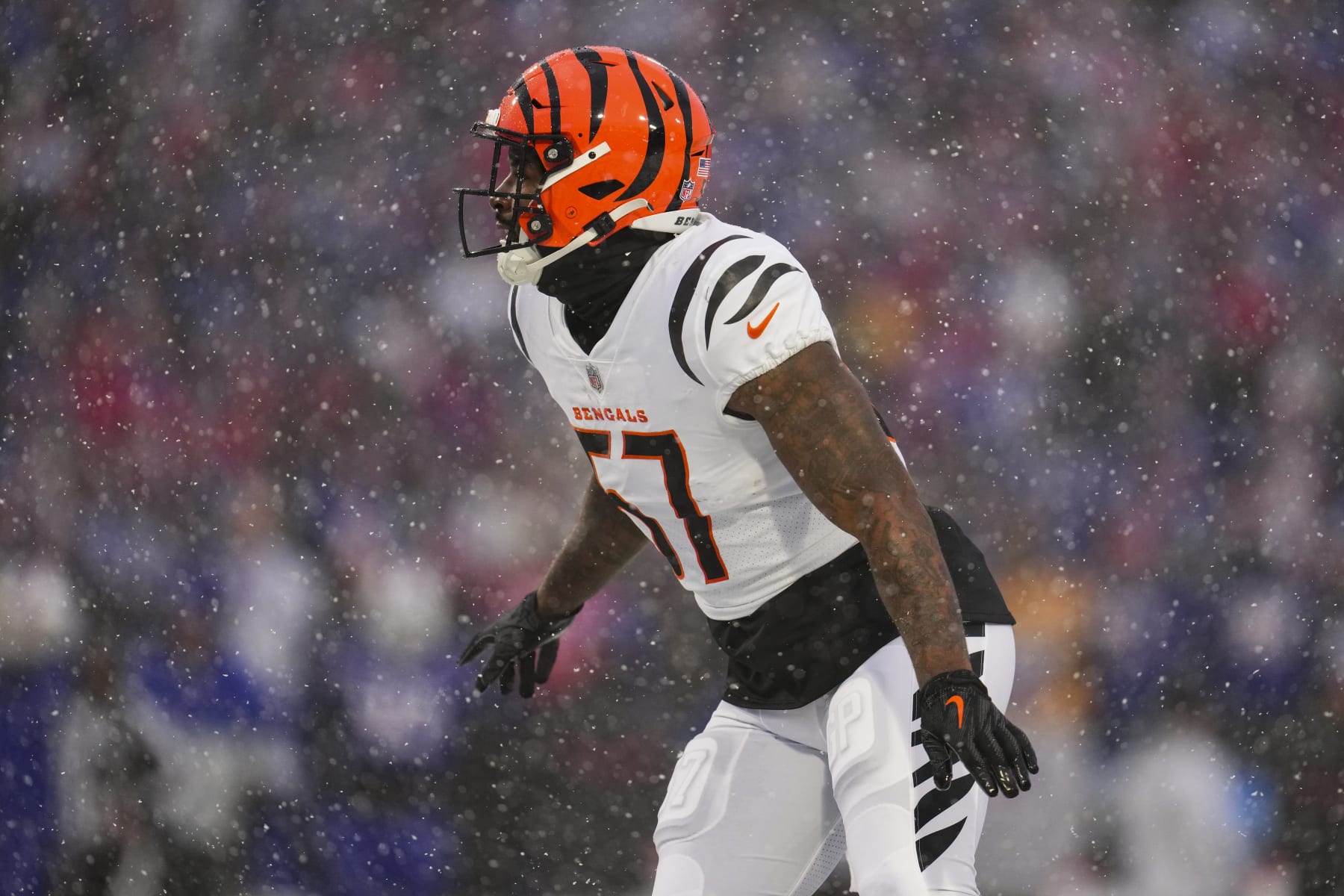 ORCHARD PARK, NY - JANUARY 22: Germaine Pratt #57 of the Cincinnati Bengals gets set against the Buffalo Bills at Highmark Stadium on January 22, 2023 in Orchard Park, New York. (Photo by Cooper Neill/Getty Images)