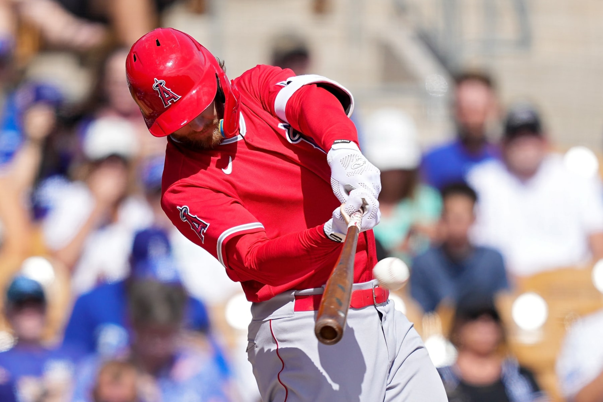 GLENDALE, ARIZONA - MARCH 10: Taylor Ward #3 of the Los Angeles Angels hits a home run in the second inning against the Los Angeles Dodgers during a spring training game at Camelback Ranch on March 10, 2023 in Glendale, Arizona. (Photo by Dylan Buell/Getty Images)
