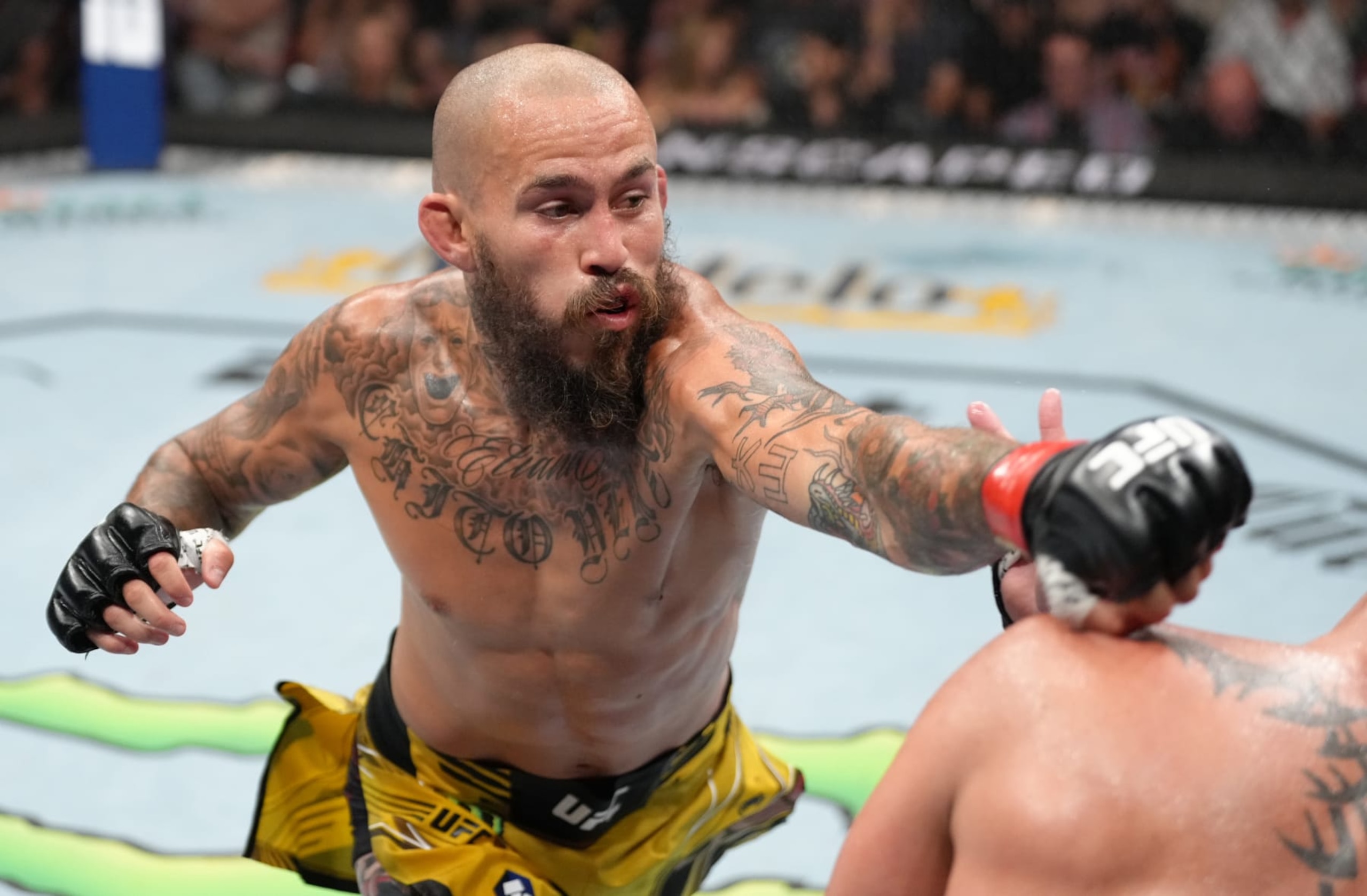 Marlon "Chito" Vera