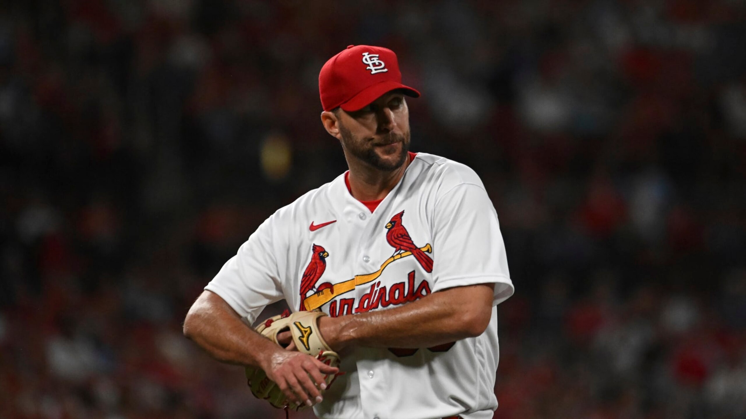 St. Louis Cardinals starting pitcher Adam Wainwright looks on in the second inning of a baseball game against the Milwaukee Brewers on Wednesday Sept. 14, 2022, in St. Louis. (AP Photo/Joe Puetz)