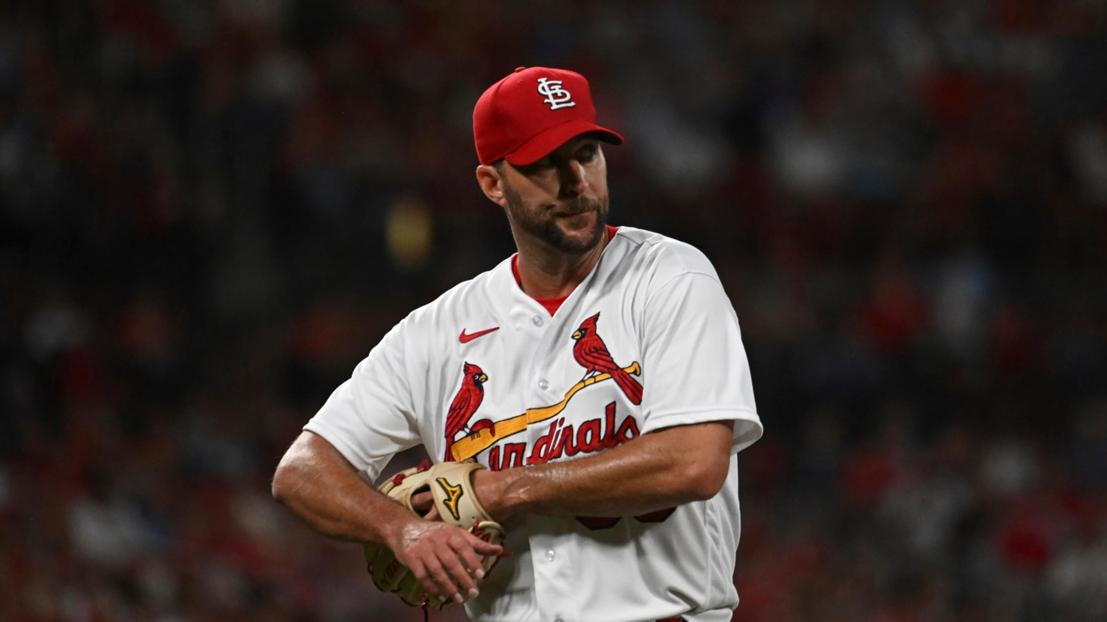 St. Louis Cardinals starting pitcher Adam Wainwright looks on in the second inning of a baseball game against the Milwaukee Brewers on Wednesday Sept. 14, 2022, in St. Louis. (AP Photo/Joe Puetz)
