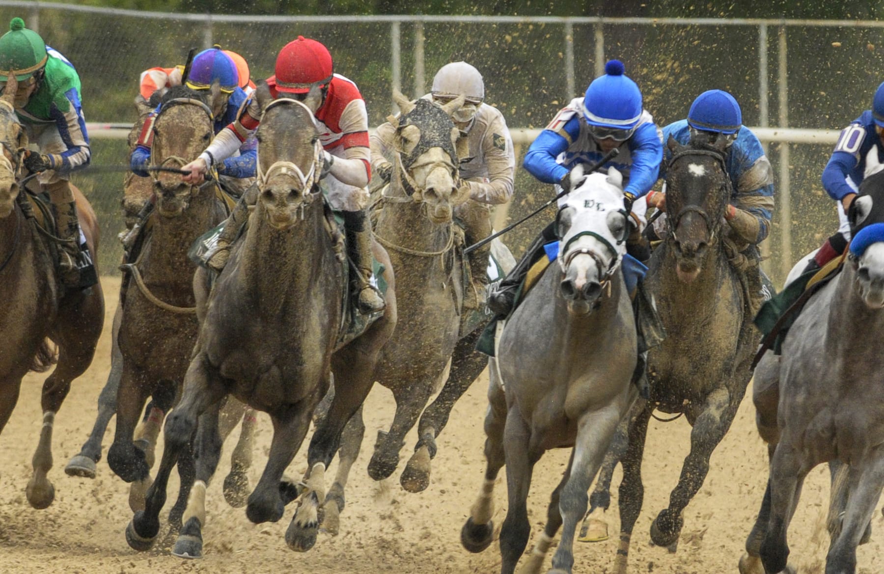 Creator, with jockey Ricardo Santana Jr., center rear, runs in 11th place entering the stretch of the Arkansas Derby horse race at Oaklawn Park in Hot Springs, Ark., Saturday, April 16, 2016. Creator won the race. (AP Photo/Devid Quinn)
