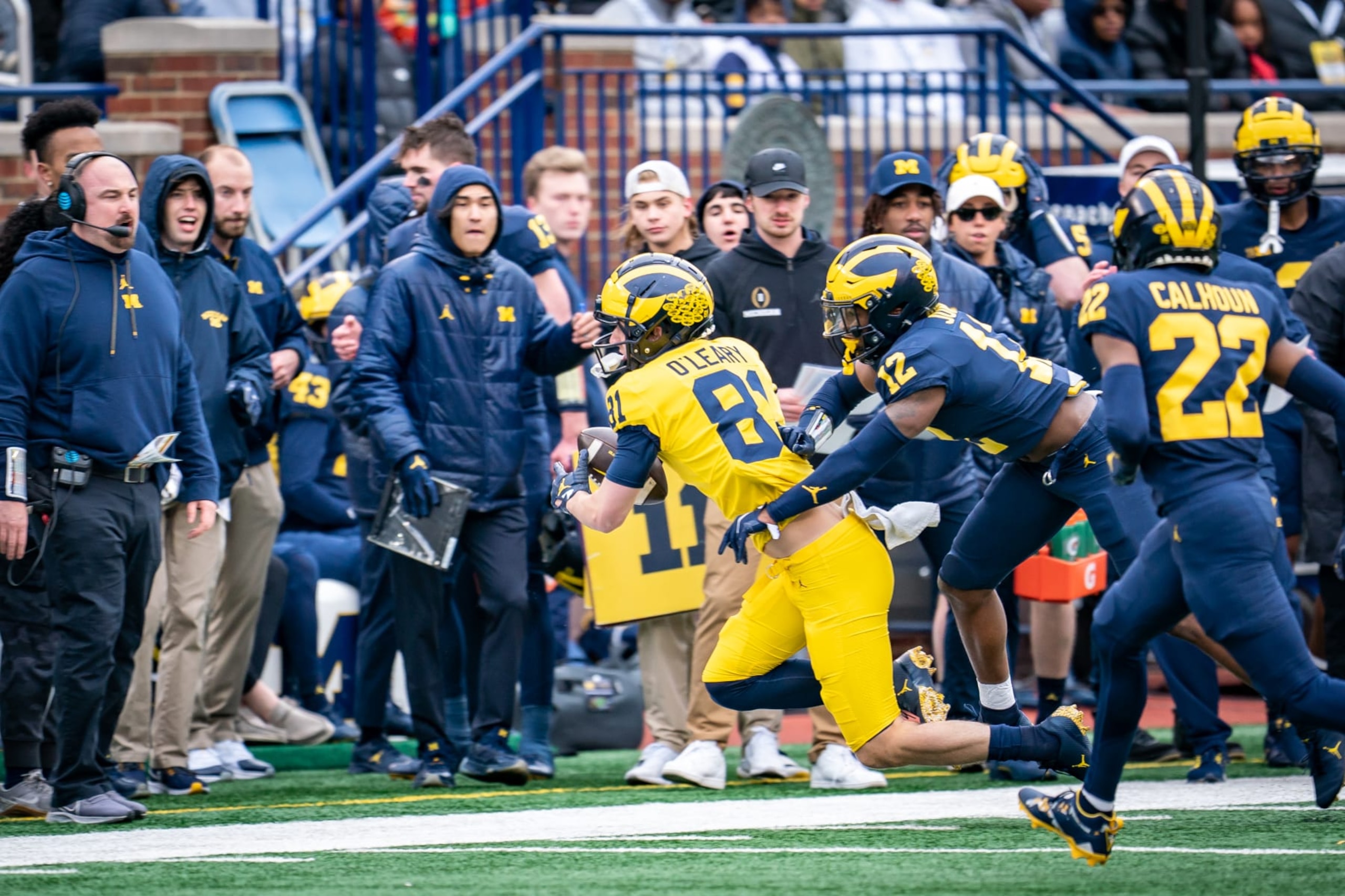 ANN ARBOR, MI - APRIL 01:  Peyton OLeary #81 of the Maize Team catches a pass against pressure from Semaj Morgan #12 of the Blue Team during the second quarter of the Michigan spring football game at Michigan Stadium on April 1, 2023 in Ann Arbor, Michigan. (Photo by Jaime Crawford/Getty Images)
