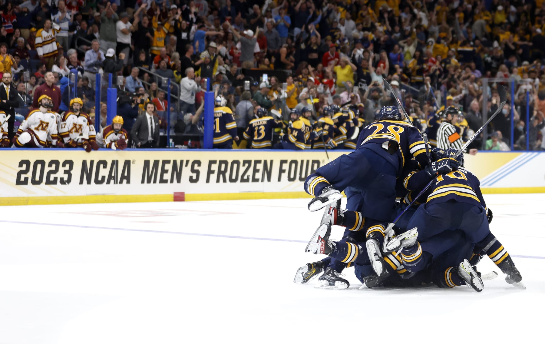 TAMPA, FLORIDA - APRIL 08: Collin Graf #11 of the Quinnipiac Bobcats celebrates a goal in the third period during the championship game of the 2023 Frozen Four against the Minnesota Golden Gophers at Amalie Arena on April 08, 2023 in Tampa, Florida. (Photo by Mike Ehrmann/Getty Images)