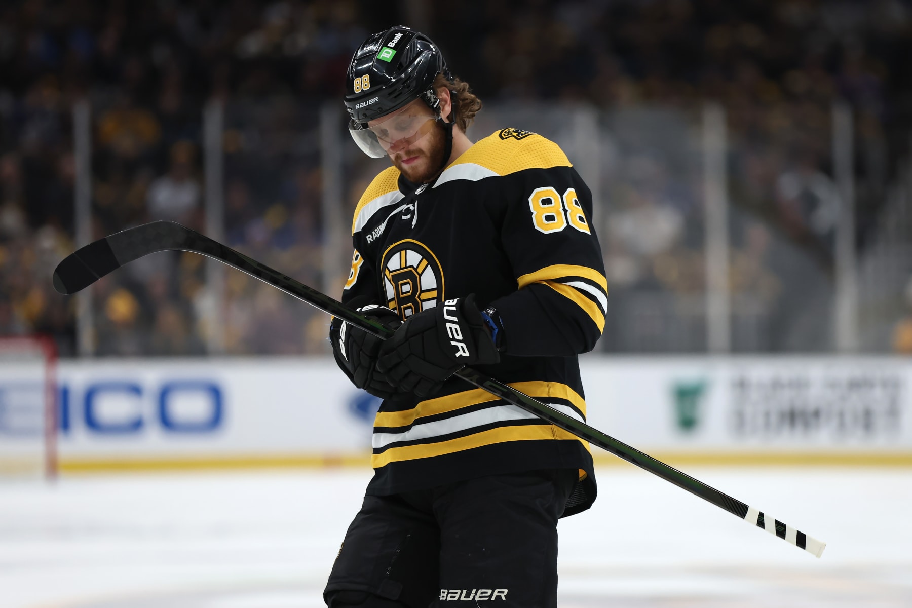 BOSTON, MASSACHUSETTS - APRIL 06: David Pastrnak #88 of the Boston Bruins looks on during the first period against the Toronto Maple Leafs at TD Garden on April 06, 2023 in Boston, Massachusetts. (Photo by Maddie Meyer/Getty Images)