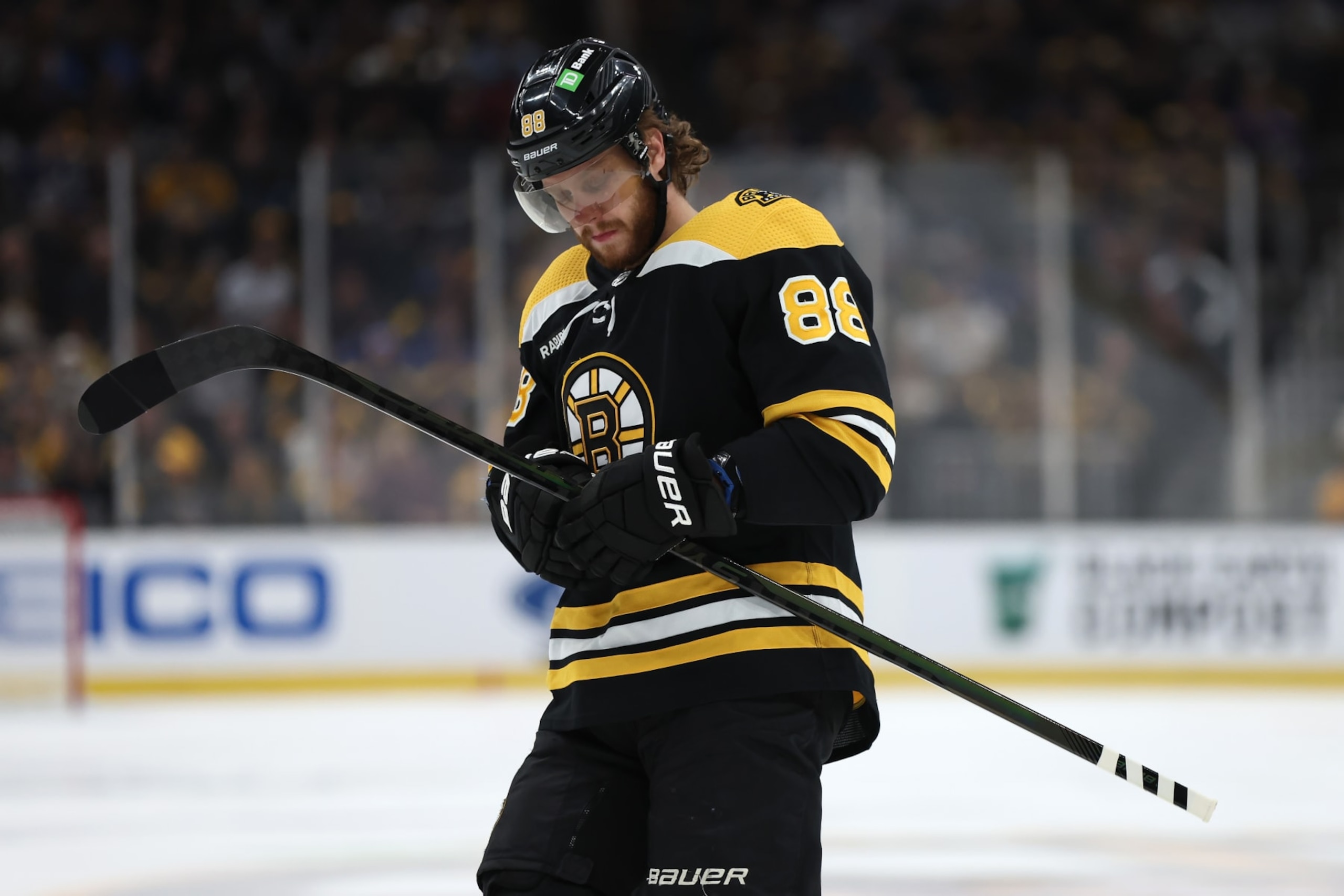 BOSTON, MASSACHUSETTS - APRIL 06: David Pastrnak #88 of the Boston Bruins looks on during the first period against the Toronto Maple Leafs at TD Garden on April 06, 2023 in Boston, Massachusetts. (Photo by Maddie Meyer/Getty Images)