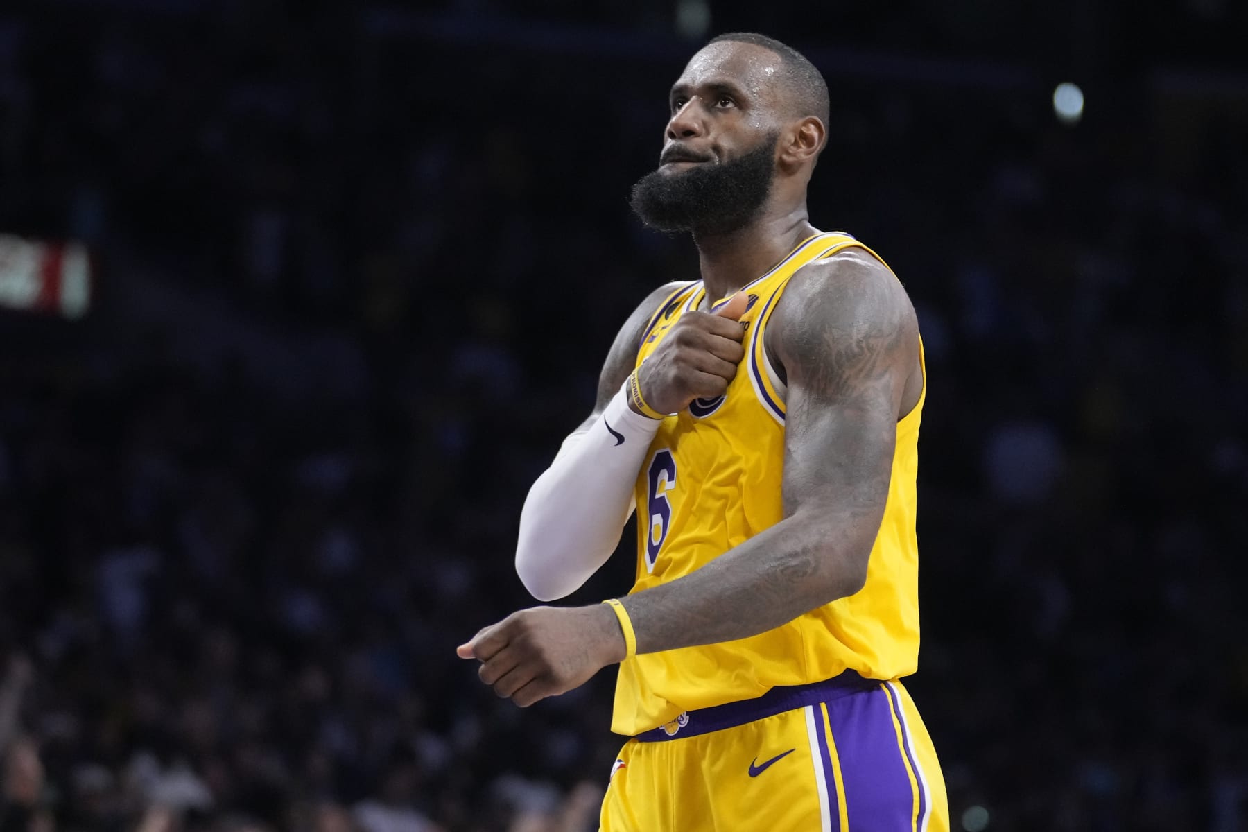 lebron james and jr smith lakers