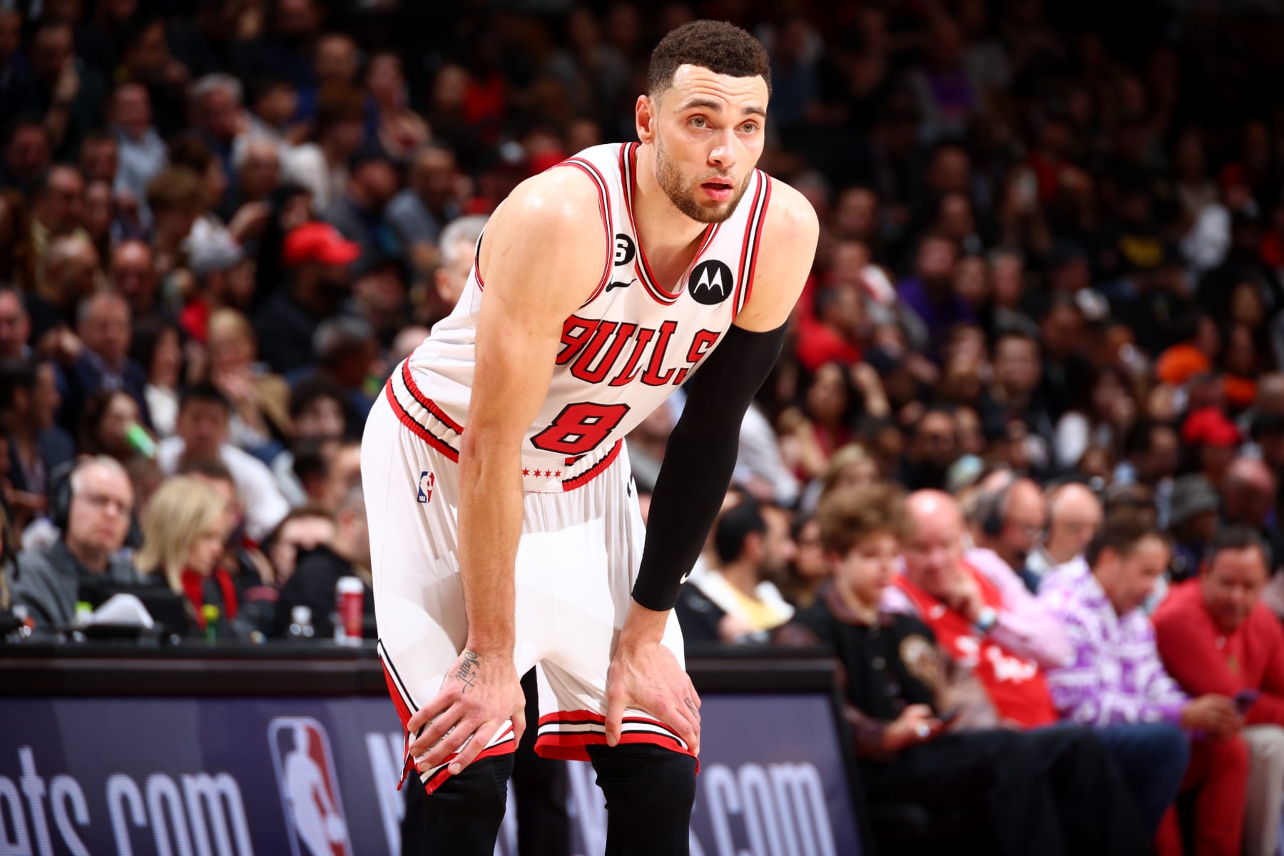 TORONTO, CANADA - APRIL 12: Zach LaVine #8 of the Chicago Bulls looks on during the game against the Toronto Raptors during the 2023 Play-In Tournament on April 12, 2023 at the Scotiabank Arena in Toronto, Ontario, Canada.  NOTE TO USER: User expressly acknowledges and agrees that, by downloading and or using this Photograph, user is consenting to the terms and conditions of the Getty Images License Agreement.  Mandatory Copyright Notice: Copyright 2023 NBAE (Photo by Vaughn Ridley/NBAE via Getty Images)