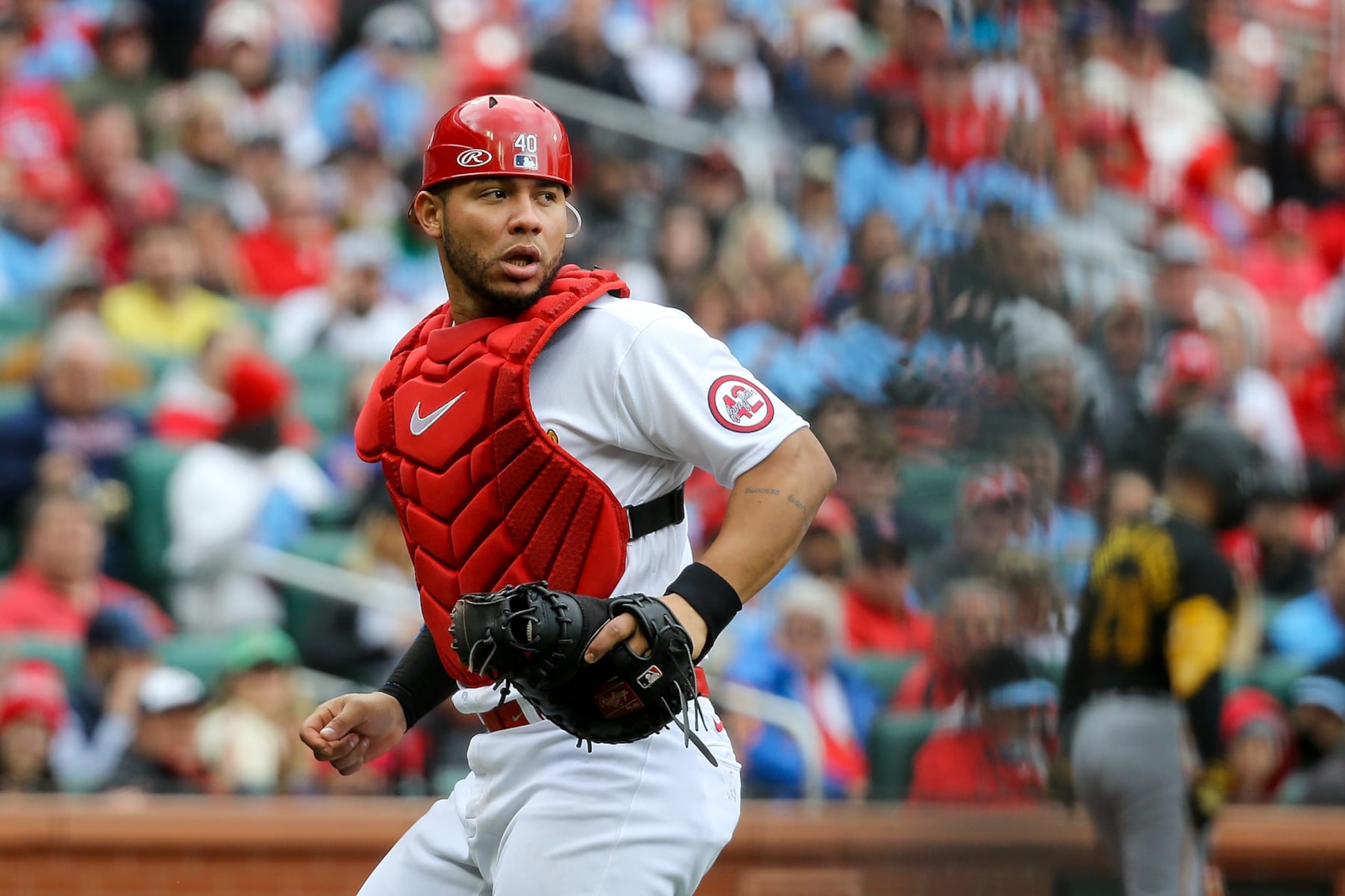 St. Louis' Willson Contreras
