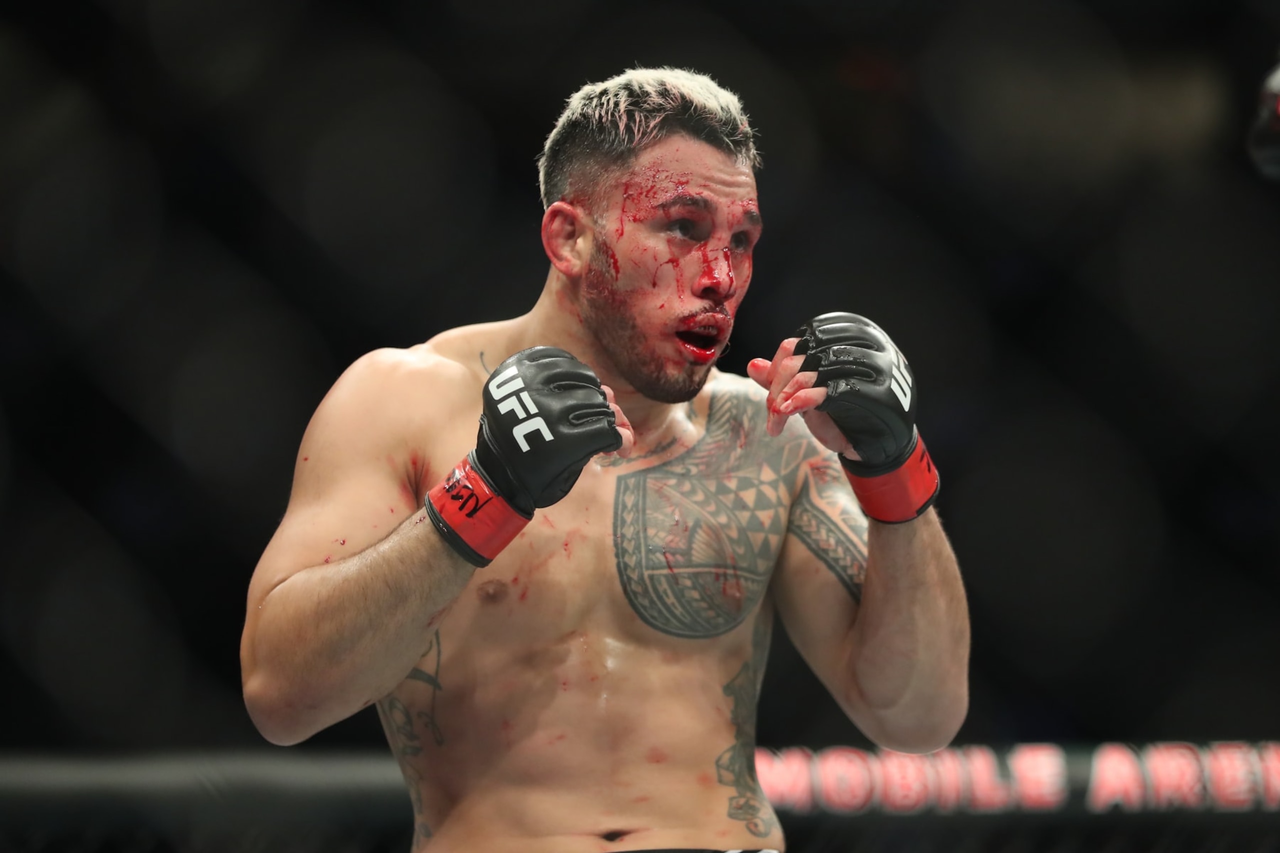 Brad Tavares