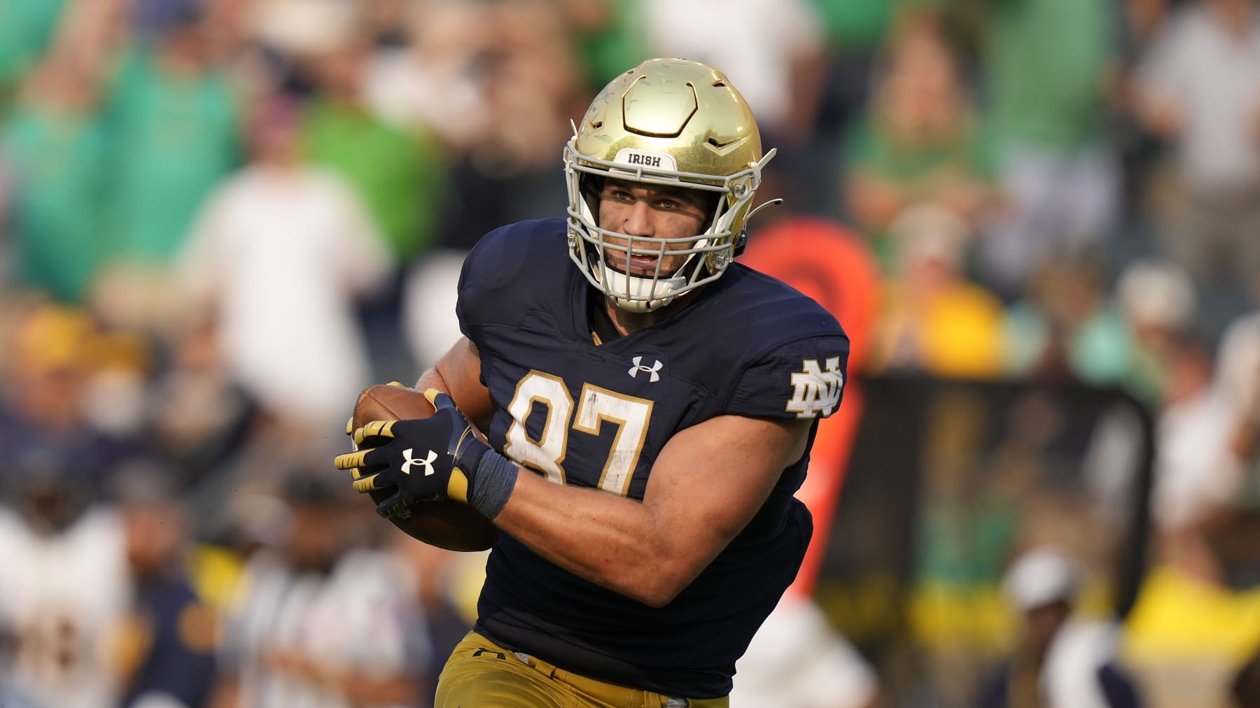 Notre Dame tight end Michael Mayer