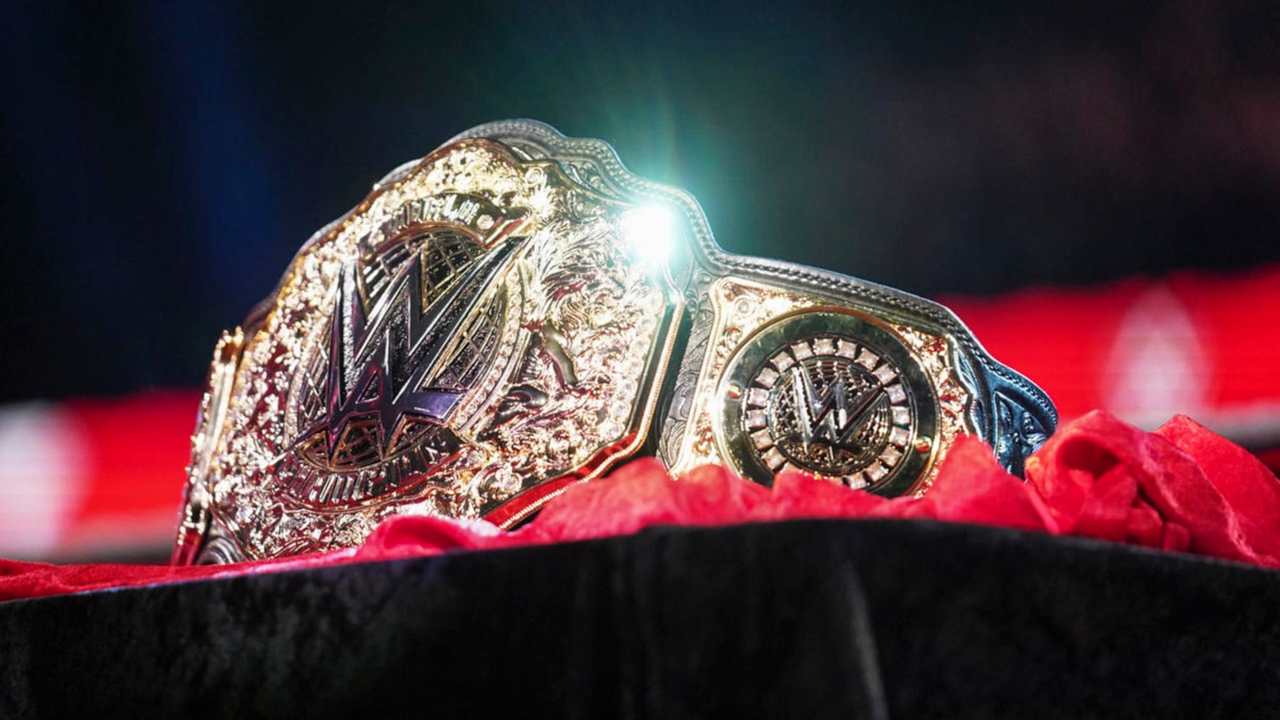 The WWE World Heavyweight Championship.