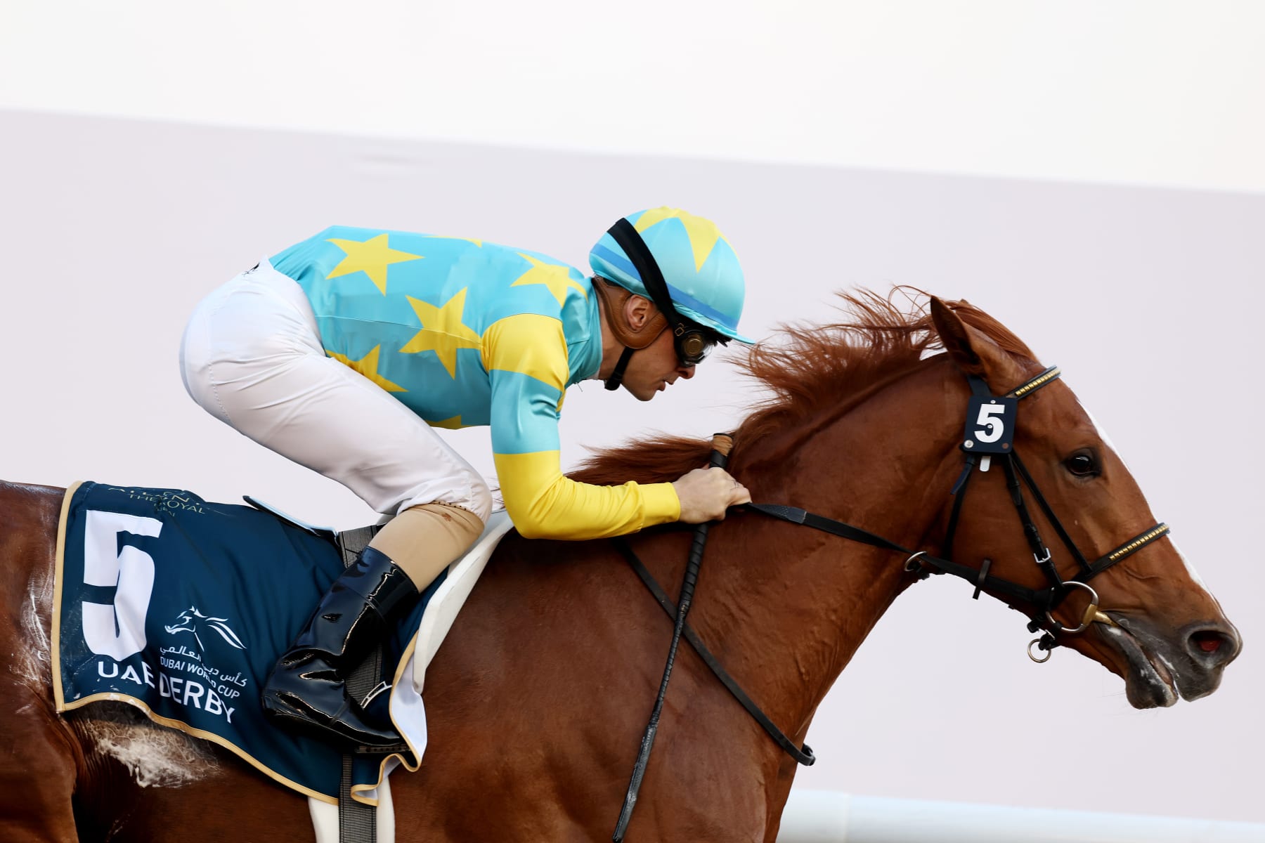Christophe Lemaire riding Derma Sotogake in the UAE Derby