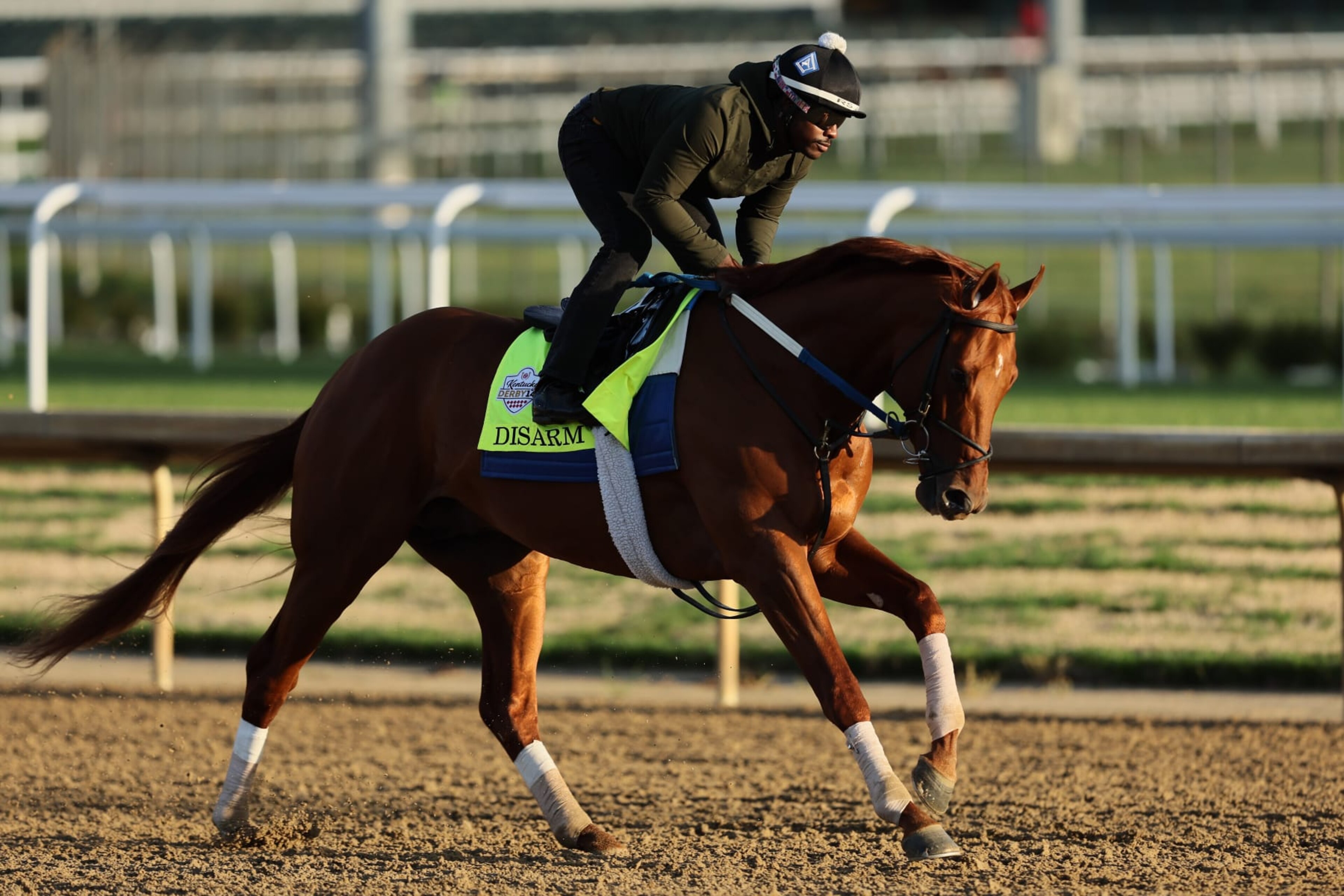 LOUISVILLE, KENTUCKY - APRIL 30: Disarm runs on the track during the morning training for the Kentucky Derby at Churchill Downs on April 30, 2023 in Louisville, Kentucky. (Photo by Andy Lyons/Getty Images) LOUISVILLE, KENTUCKY - APRIL 30: Disarm runs on the track during the morning training for the Kentucky Derby at Churchill Downs on April 30, 2023 in Louisville, Kentucky. (Photo by Andy Lyons/Getty Images)