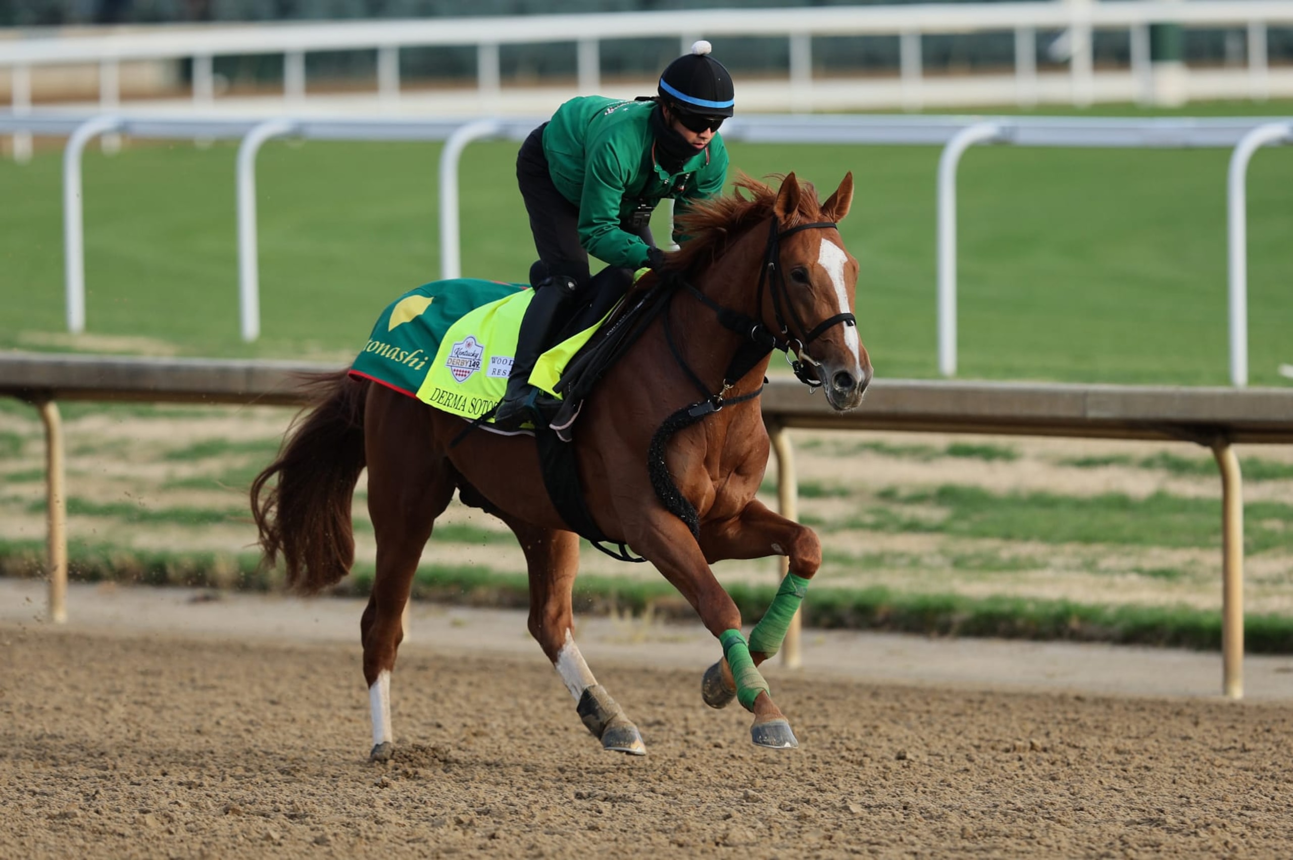 Derma Sotogake is one of the early favorites to win the 2023 Kentucky Derby.