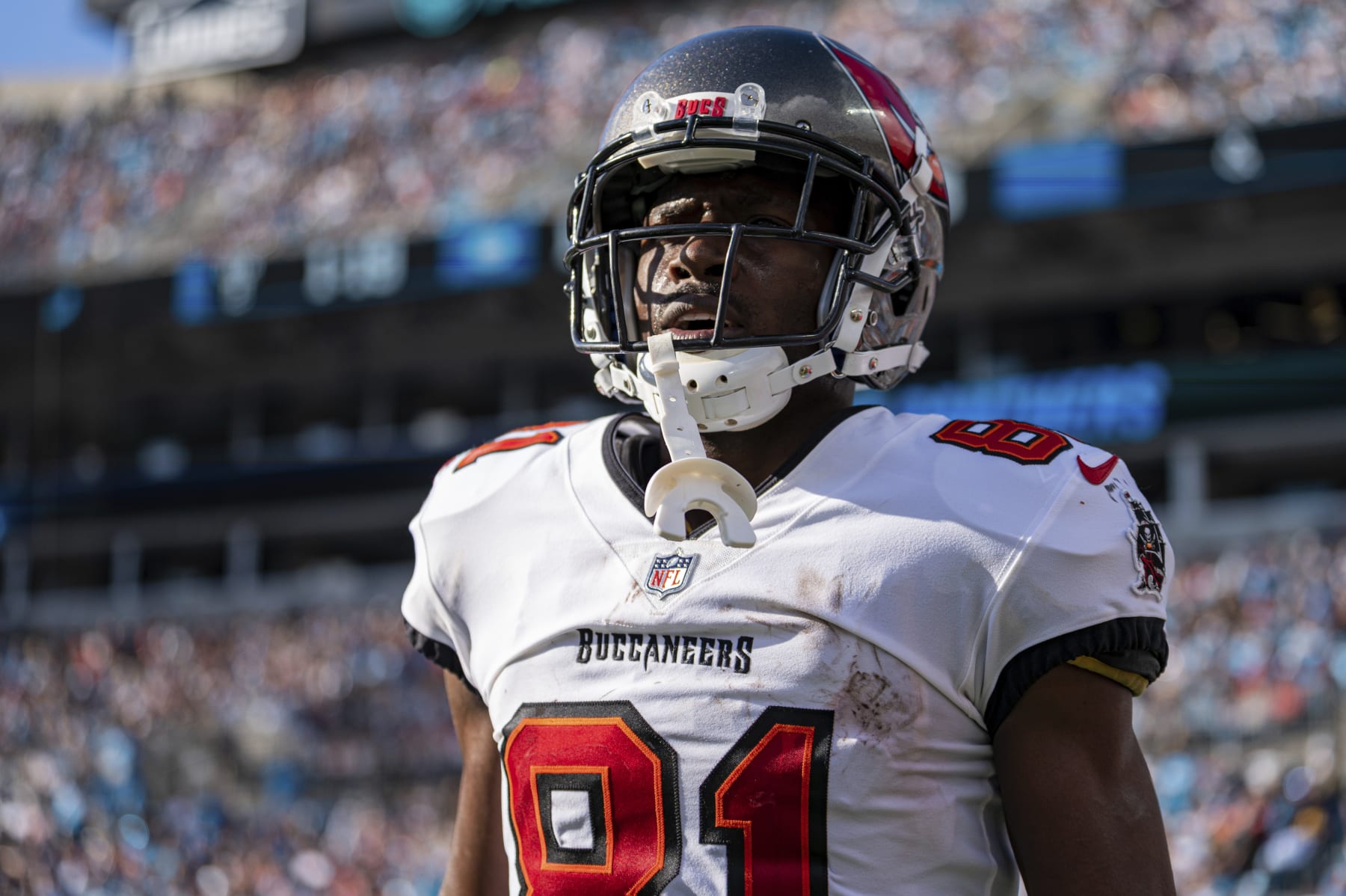 Tampa Bay Buccaneers wide receiver Antonio Brown (81) looks on against the Carolina Panthers during an NFL football game Sunday, Dec. 26, 2021, in Charlotte, N.C. (AP Photo/Jacob Kupferman)