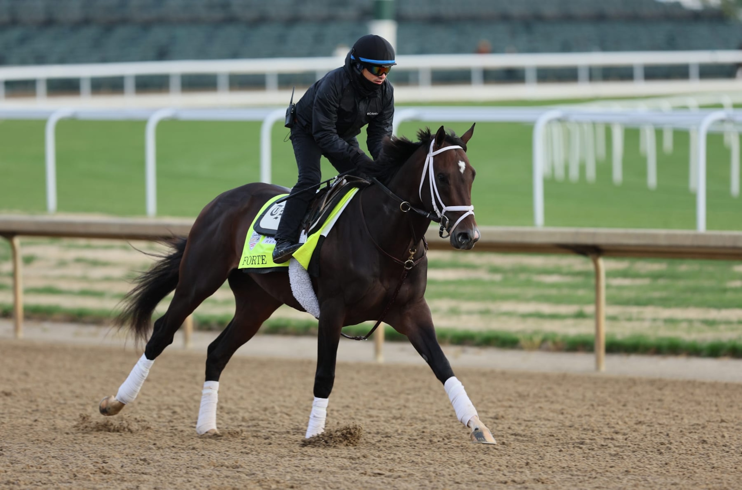 LOUISVILLE, KENTUCKY - MAY 01: Forte runs on the track during the morning training for the Kentucky Derby at Churchill Downs on May 01, 2023 in Louisville, Kentucky. (Photo by Andy Lyons/Getty Images) LOUISVILLE, KENTUCKY - MAY 01: Forte runs on the track during the morning training for the Kentucky Derby at Churchill Downs on May 01, 2023 in Louisville, Kentucky. (Photo by Andy Lyons/Getty Images)