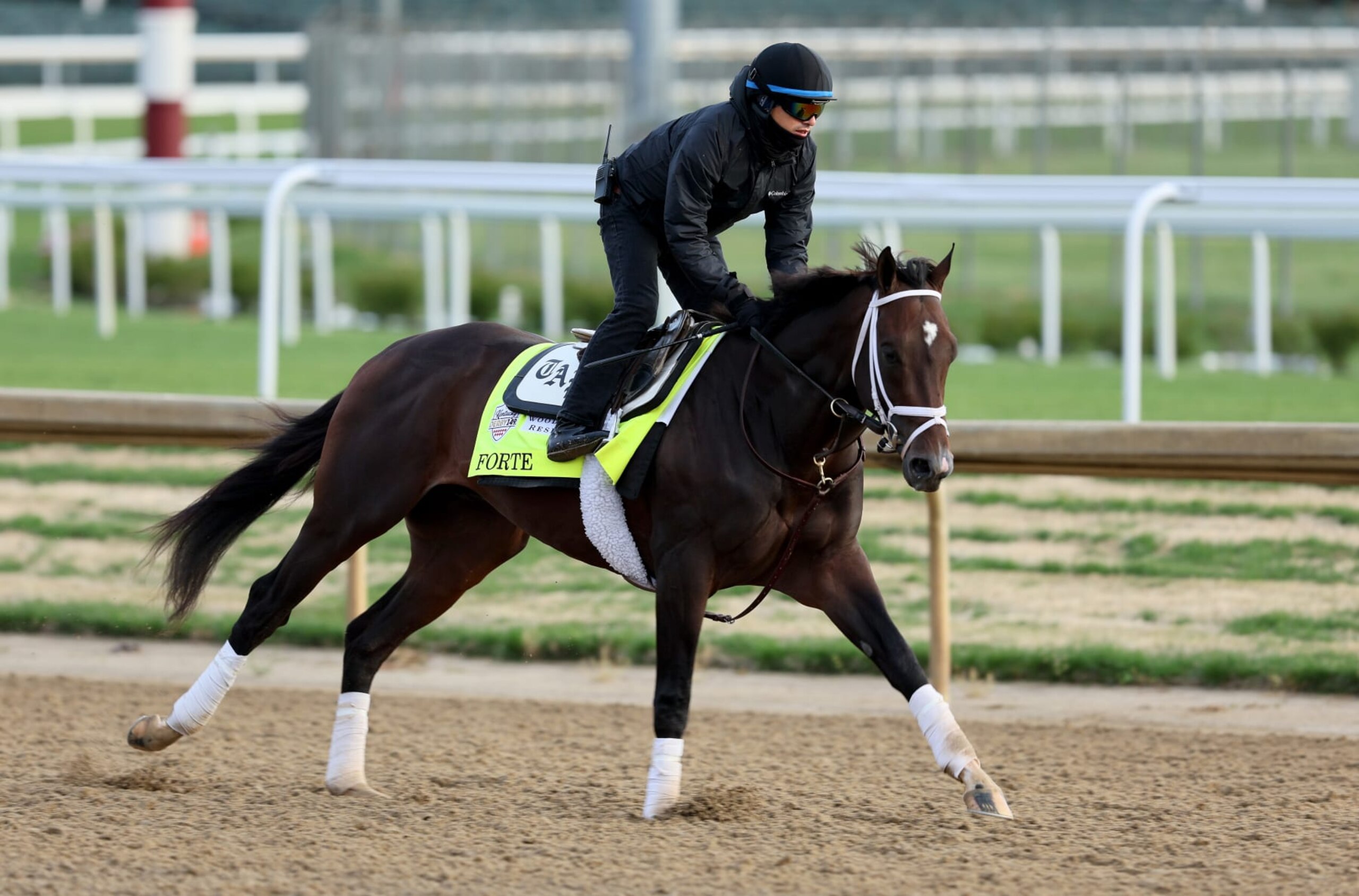 LOUISVILLE, KENTUCKY - MAY 01: Forte runs on the track during the morning training for the Kentucky Derby at Churchill Downs on May 01, 2023 in Louisville, Kentucky. (Photo by Andy Lyons/Getty Images)