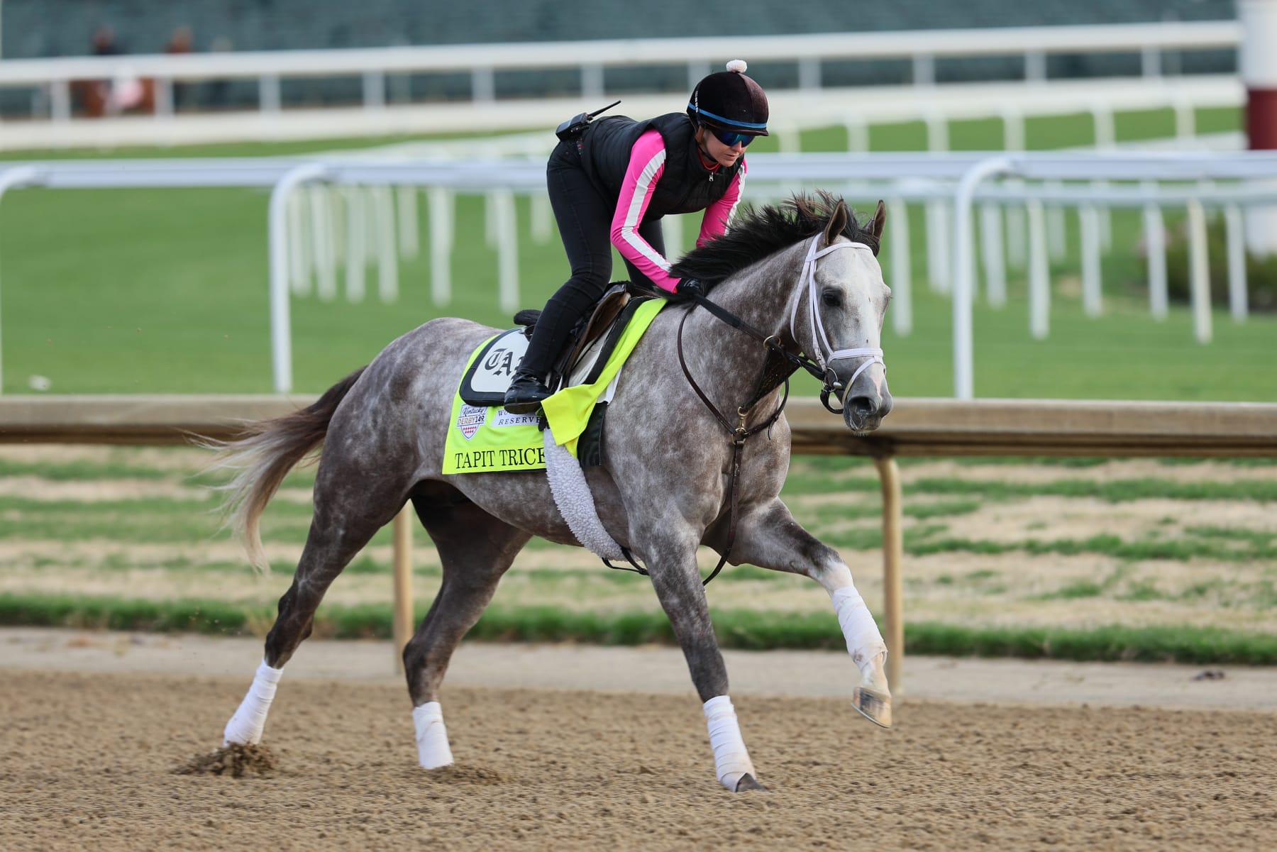 LOUISVILLE, KENTUCKY - MAY 01: Tapit Trice runs on the track during the morning training for the Kentucky Derby at Churchill Downs on May 01, 2023 in Louisville, Kentucky. (Photo by Andy Lyons/Getty Images)