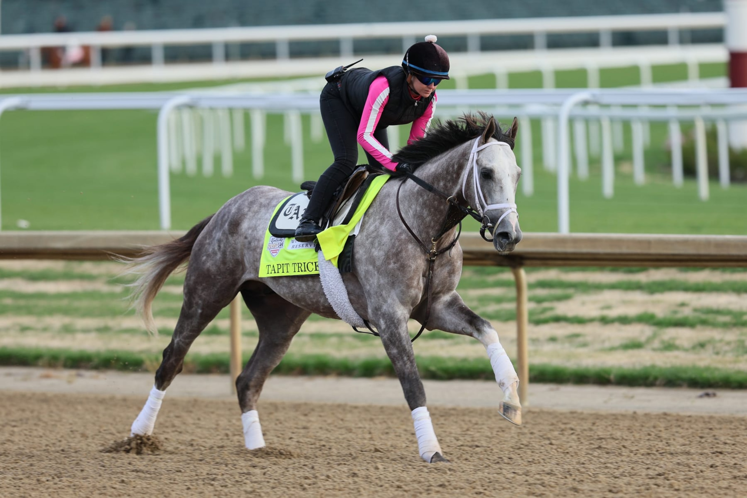 LOUISVILLE, KENTUCKY - MAY 01: Tapit Trice runs on the track during the morning training for the Kentucky Derby at Churchill Downs on May 01, 2023 in Louisville, Kentucky. (Photo by Andy Lyons/Getty Images)