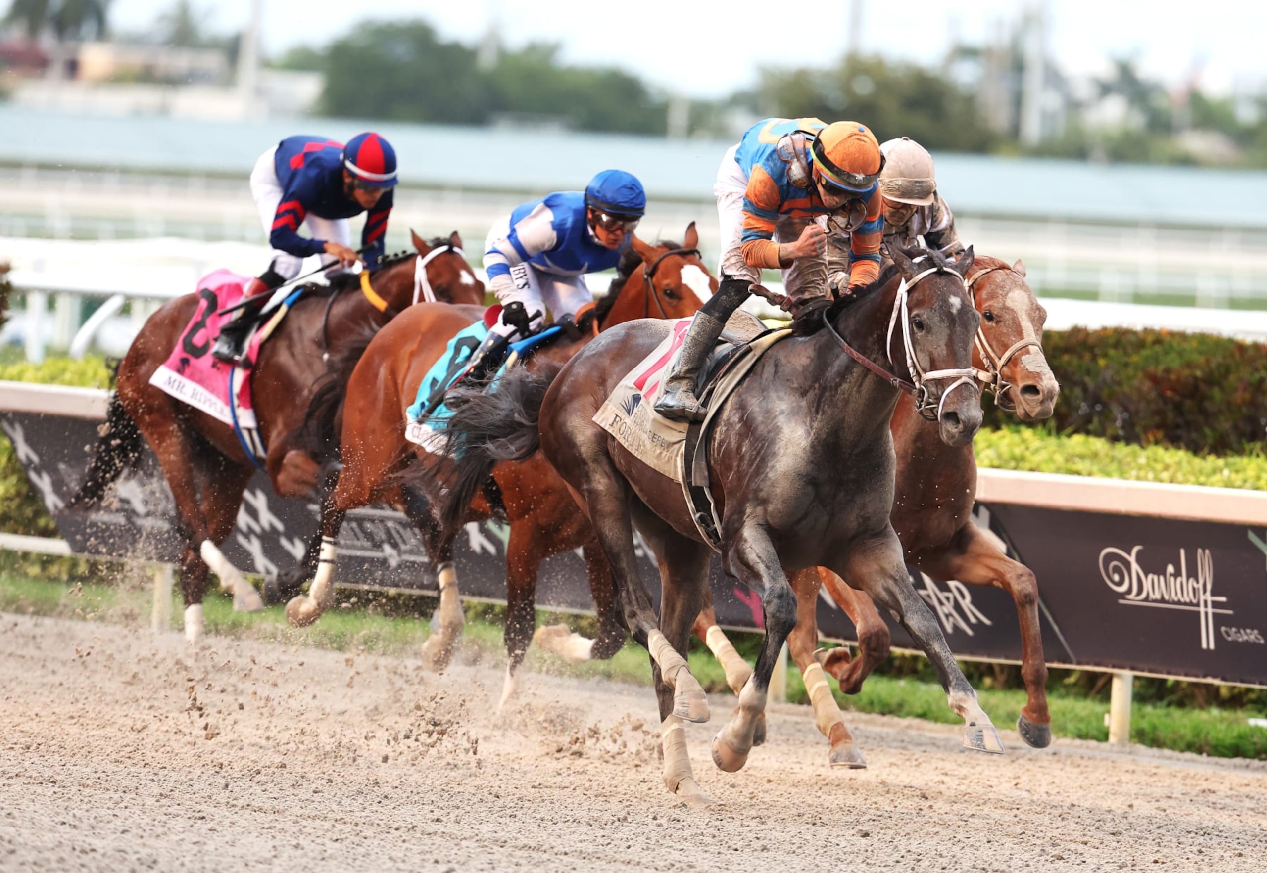 Derby favorite Forte win the Florida Derby in April. 