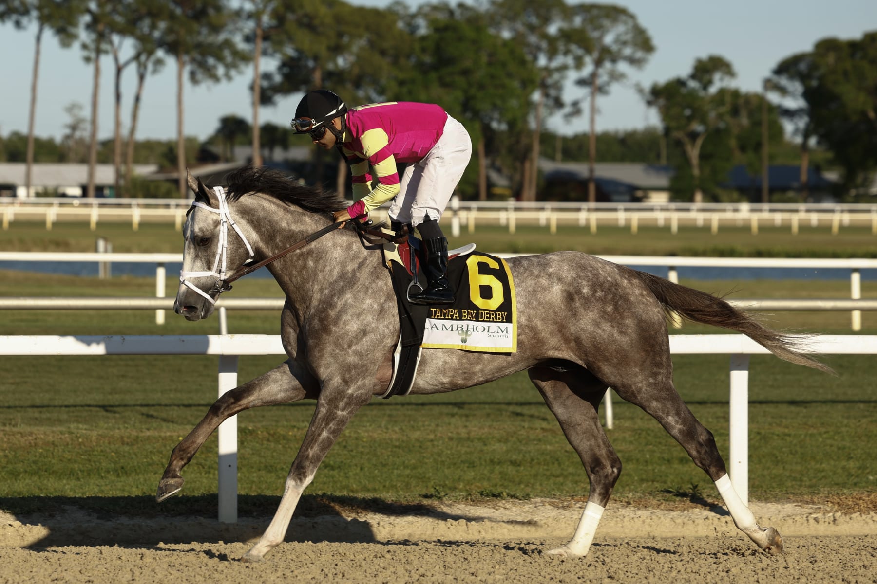 Tapit Trice at the Tampa Bay Derby
