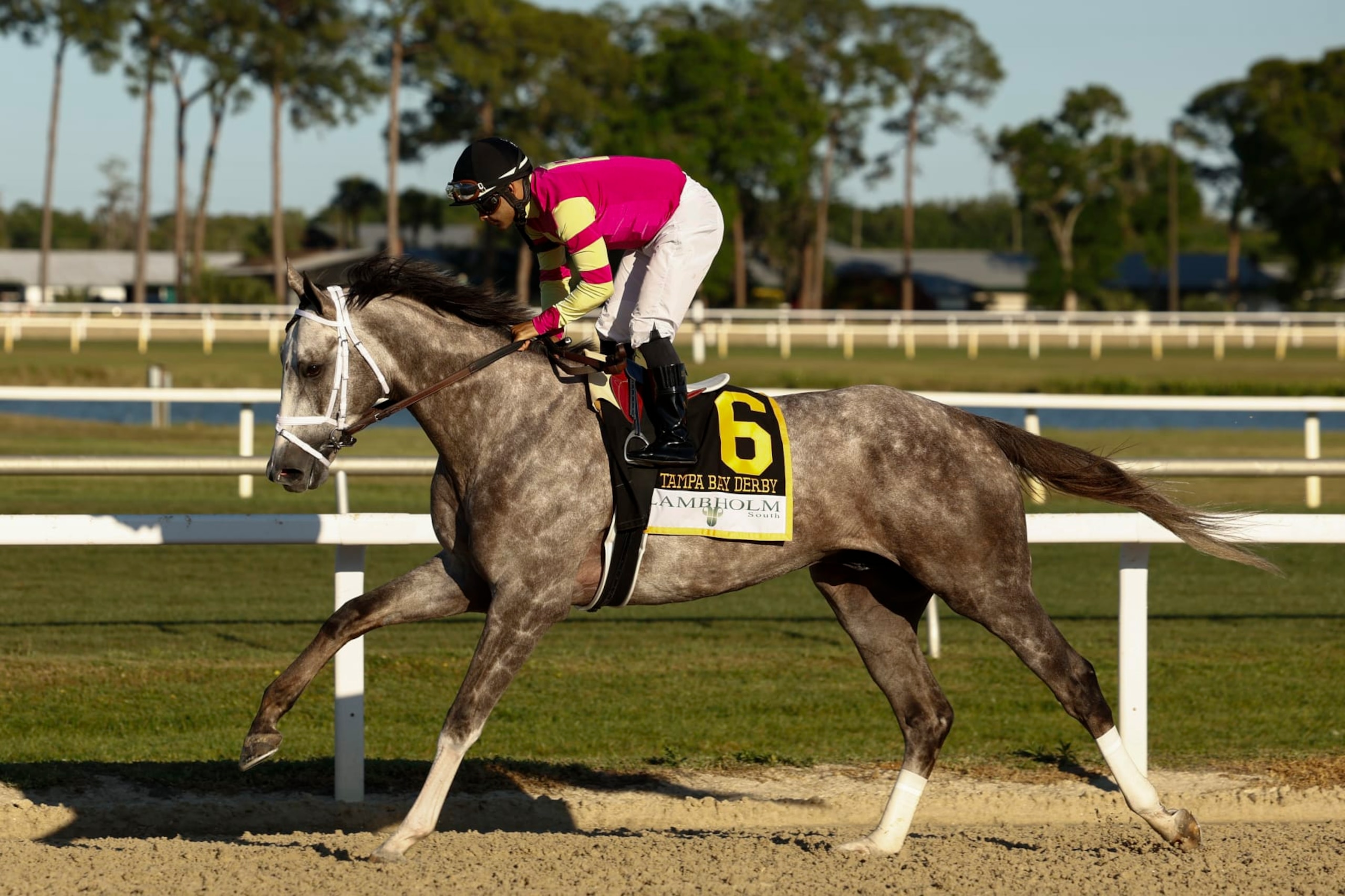 Tapit Trice at the Tampa Bay Derby