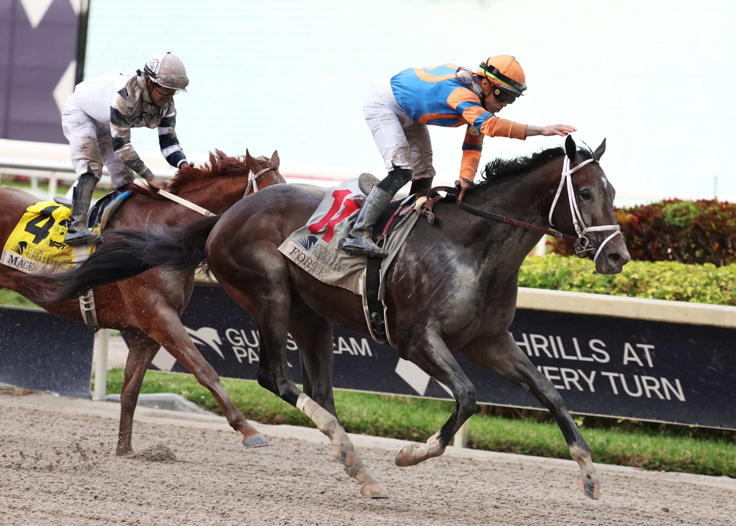 Forte at the Florida Derby
