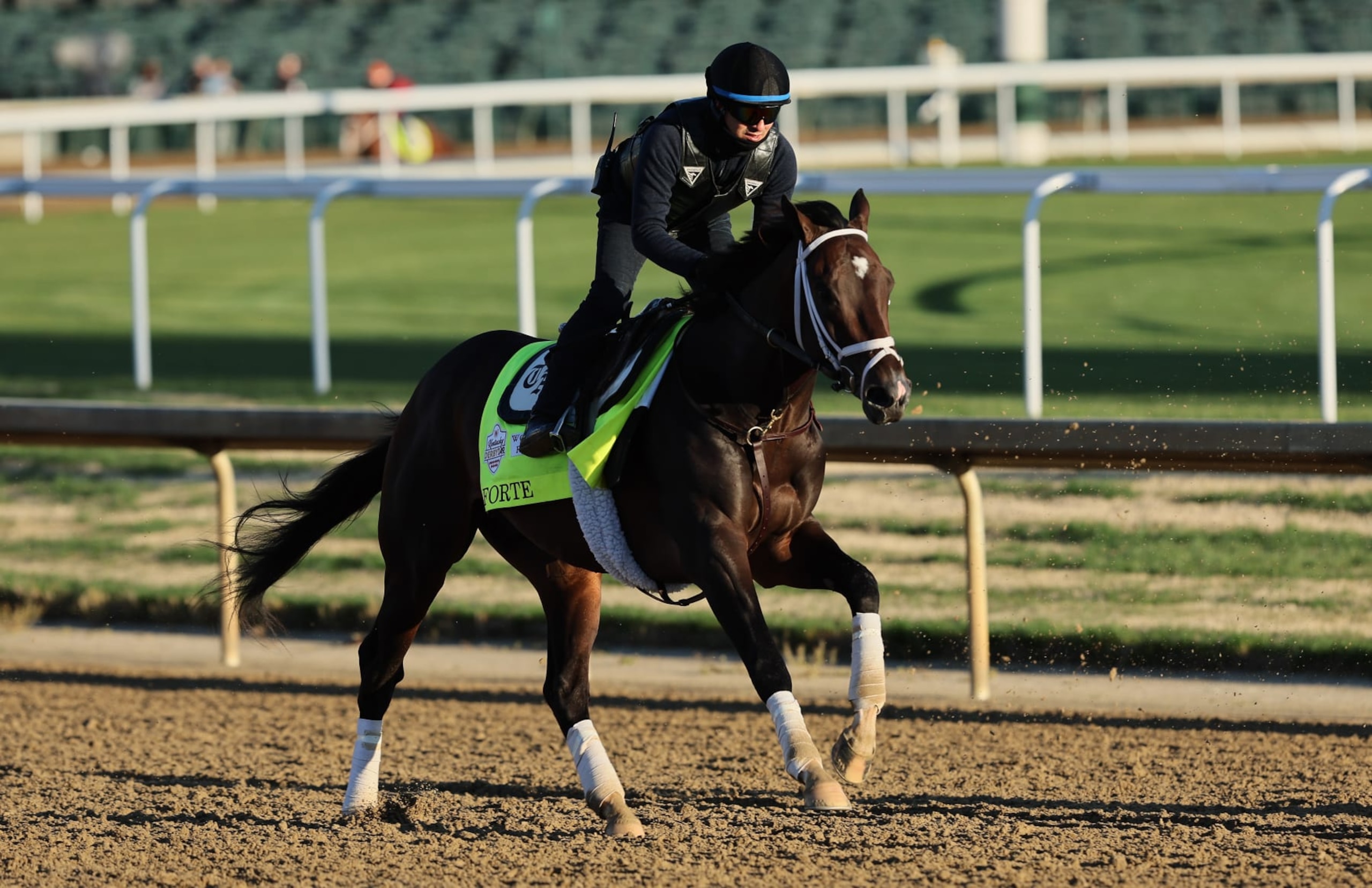 LOUISVILLE, KENTUCKY - MAY 03: Forte runs on the track during the morning training for the Kentucky Derby at Churchill Downs on May 03, 2023 in Louisville, Kentucky. (Photo by Andy Lyons/Getty Images)