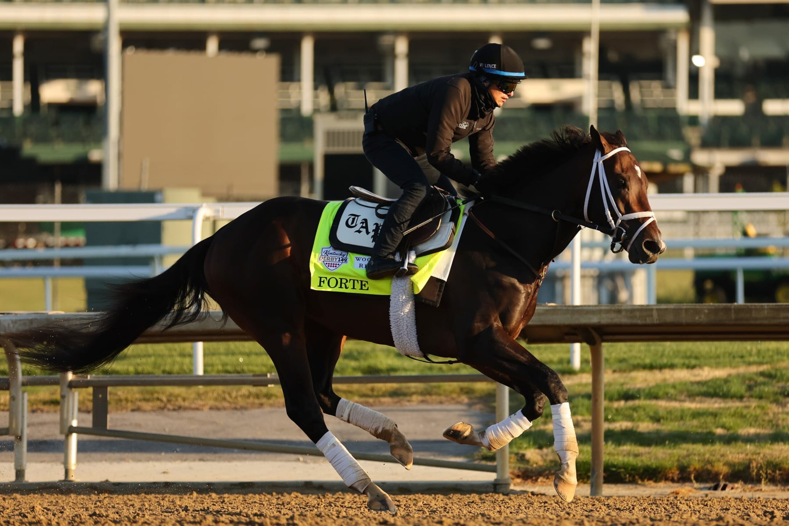 LOUISVILLE, KENTUCKY - MAY 04: Forte trains on the track during morning workouts in preparation for the 149th running of the Kentucky Derby at Churchill Downs on May 04, 2023 in Louisville, Kentucky. (Photo by Michael Reaves/Getty Images)