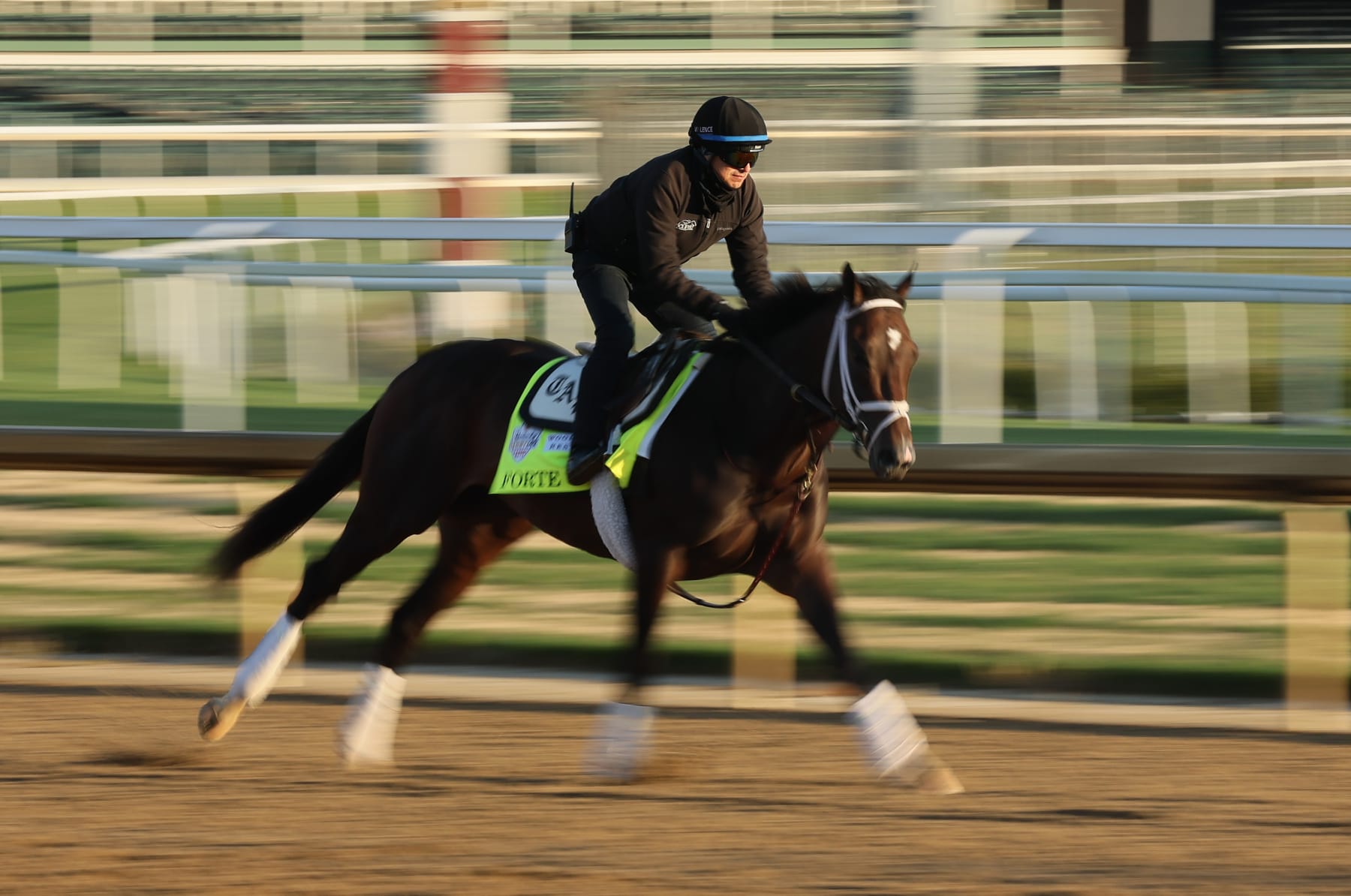 LOUISVILLE, KENTUCKY - MAY 04: Forte during the morning training for the Kentucky Derby at Churchill Downs on May 04, 2023 in Louisville, Kentucky. (Photo by Andy Lyons/Getty Images)